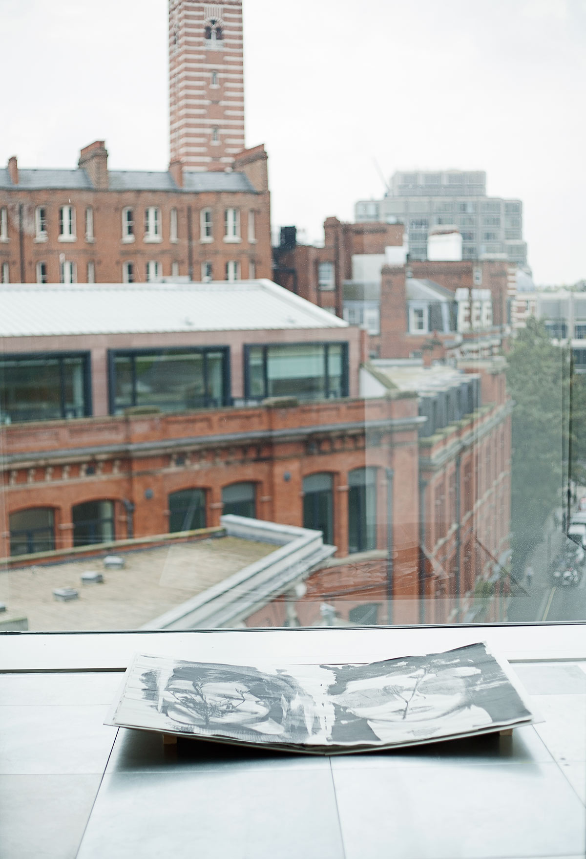 paula roush, Flora McCallica, installation at Paradigm Store, 5 Howick Place, London. Commissioned by HS Projects.