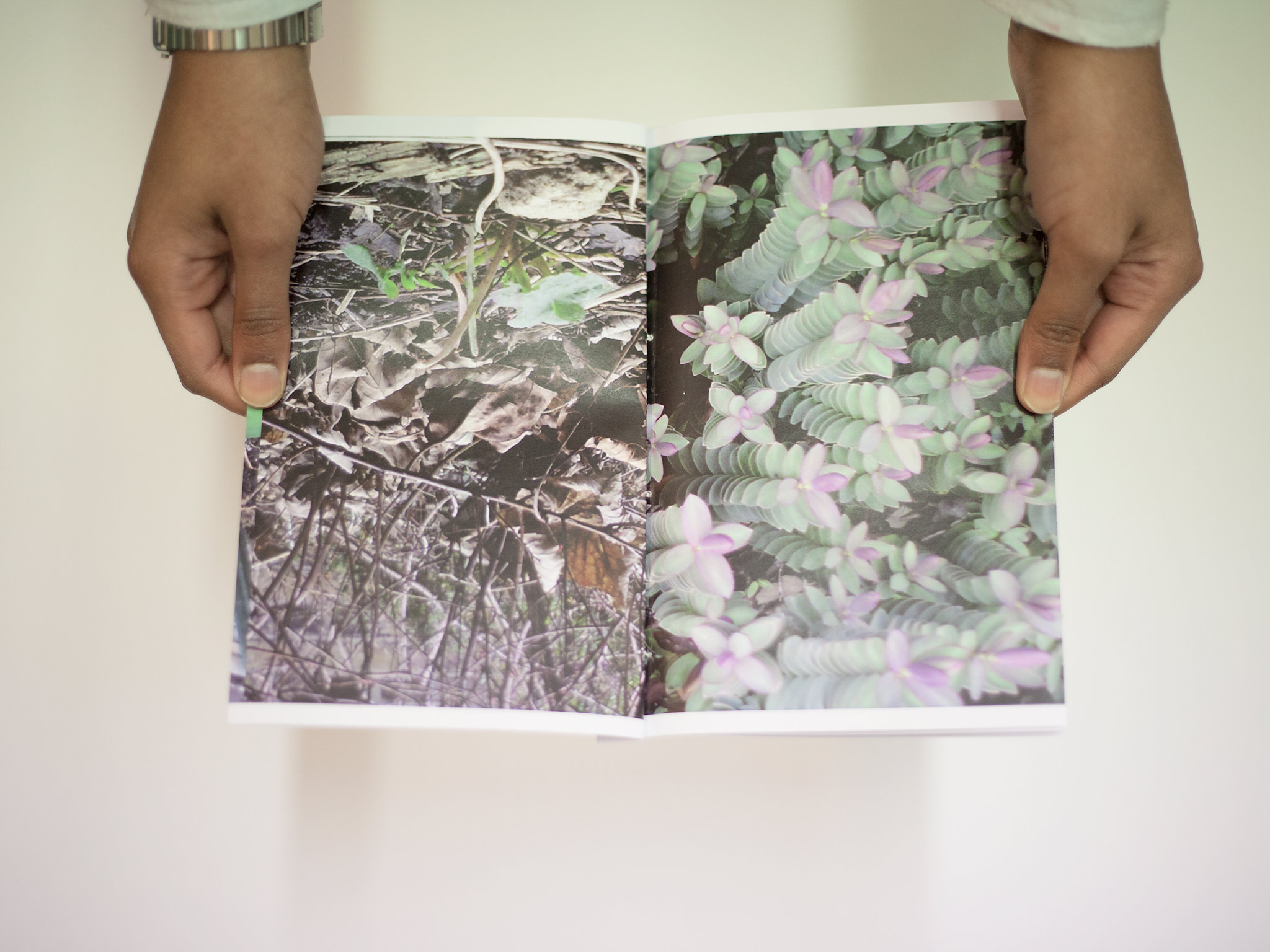 paula-roush-st-charles-centre-photobook-workshops-10