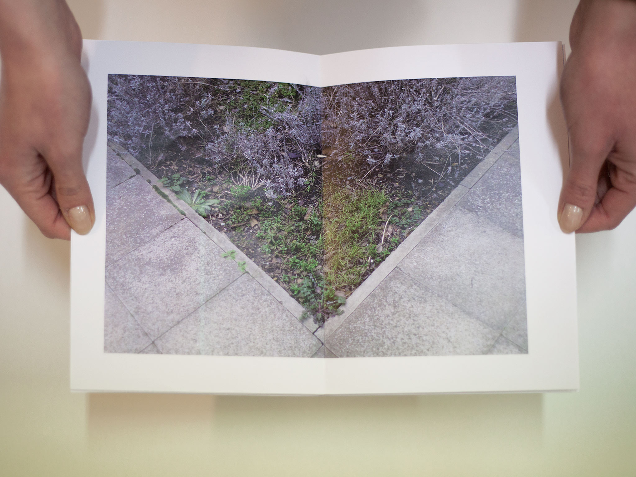 paula-roush-st-charles-centre-photobook-workshops-11