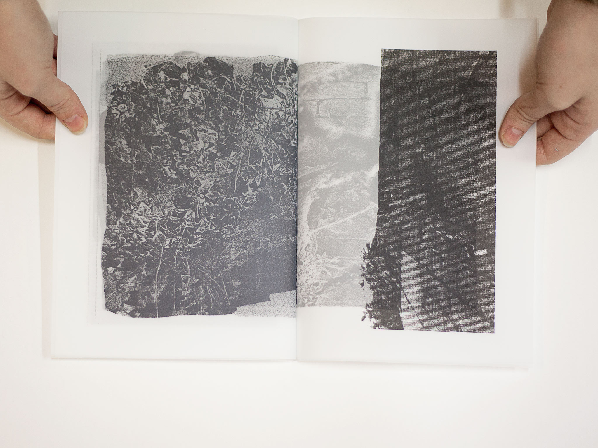 paula-roush-st-charles-centre-photobook-workshops-12