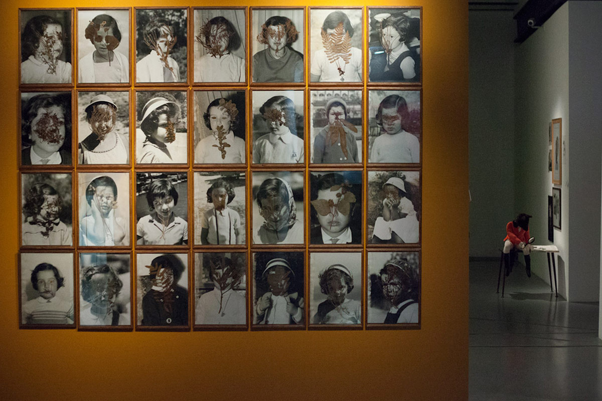 paula roush: Flora Mccallica (photo-collages), Queer Pape gardens, Museu da Eletricidade. Lisbon