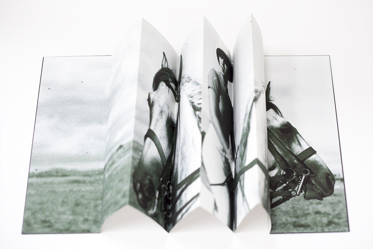 scene #2: Andrée (Beirut Hippodrome), 8 accordion folded pages 29.7 x 84 cm