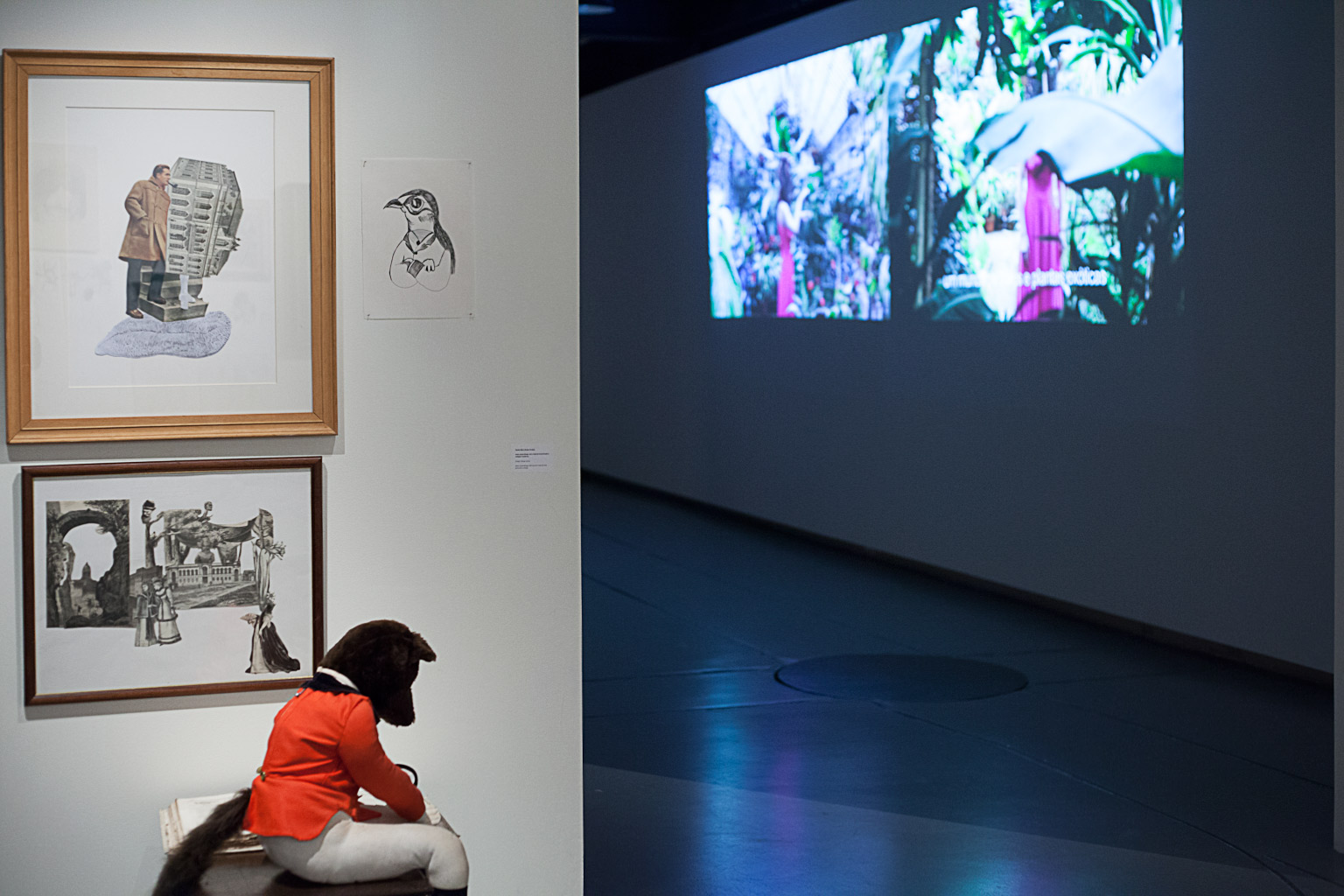 queer-paper-gardens-video-installation-3