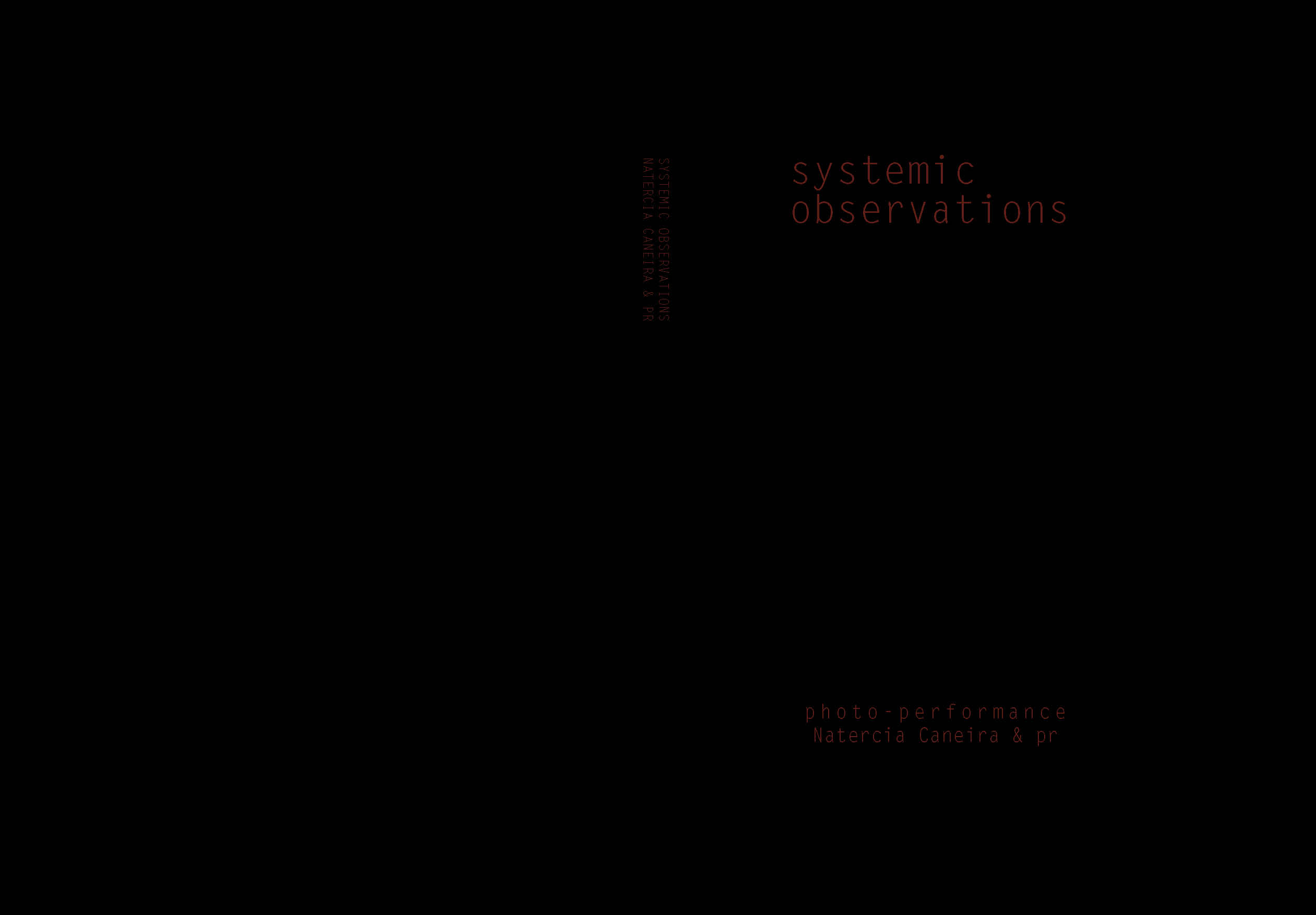 systemic-observations-11