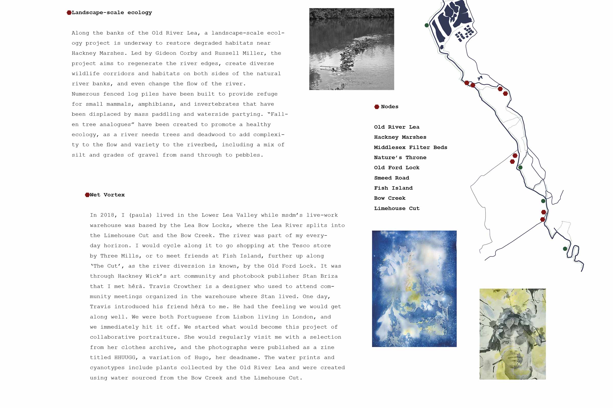 FYR-map-06-msdm