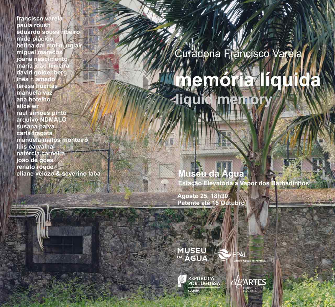 msdm-memoria-liquida-liquid-memory