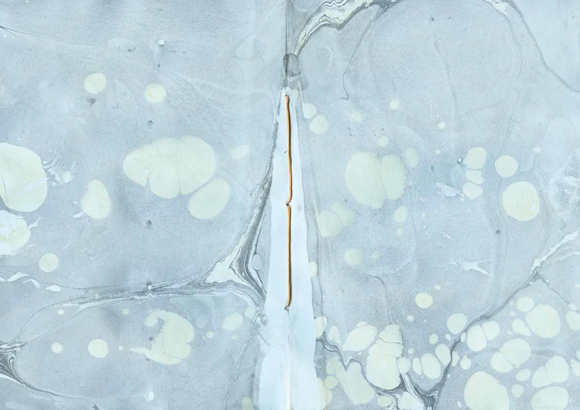 water-prints-5