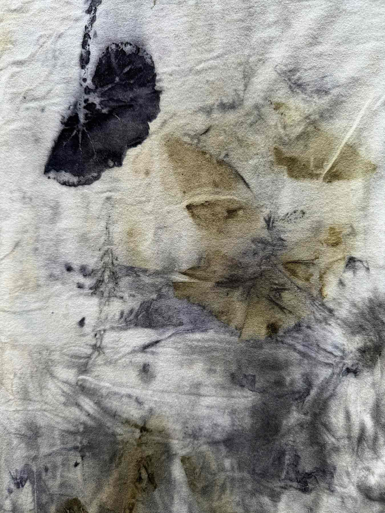msdm-herbarium-for-the-anthropocene-06