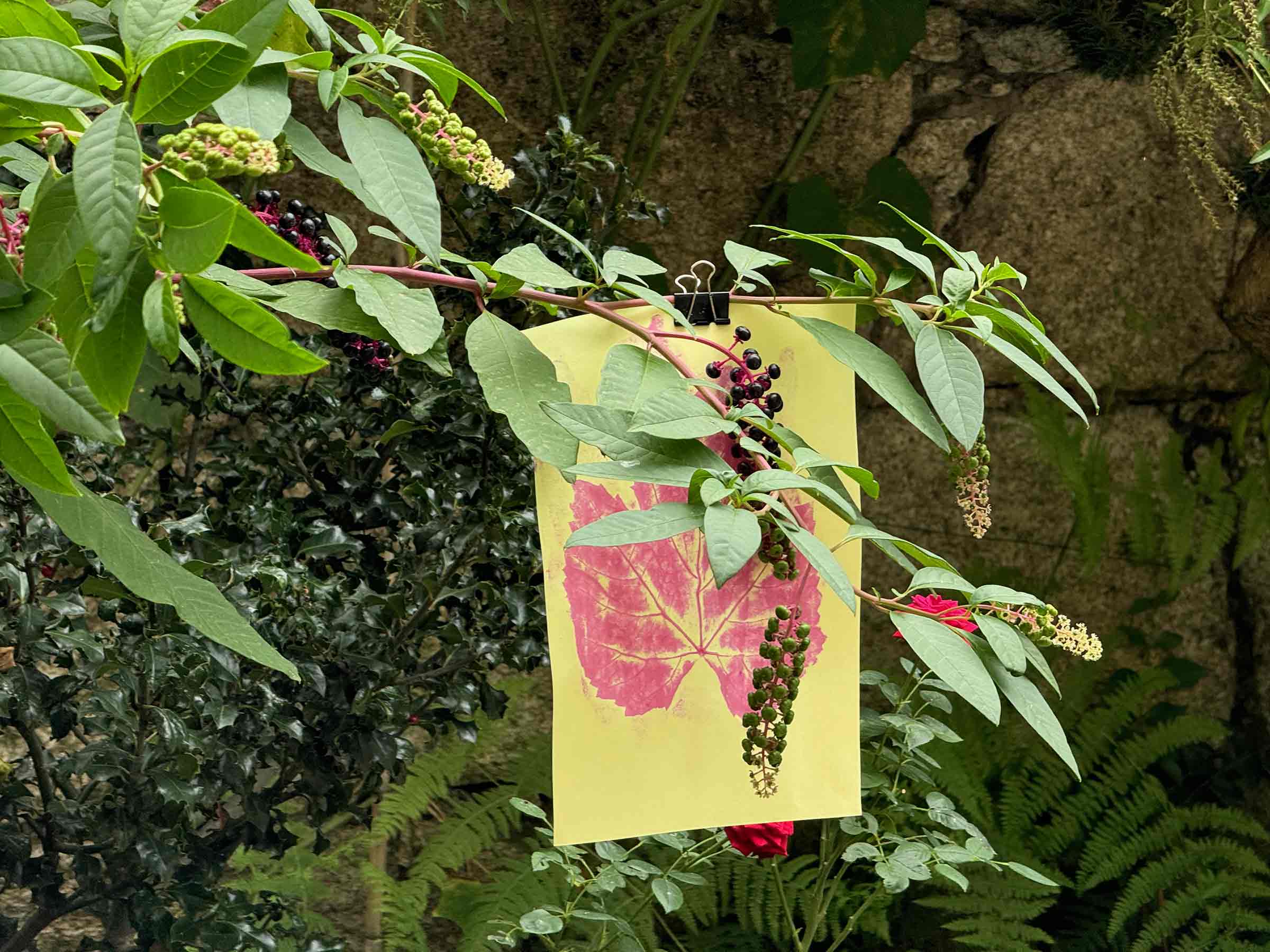 msdm-herbarium-for-the-anthropocene-09