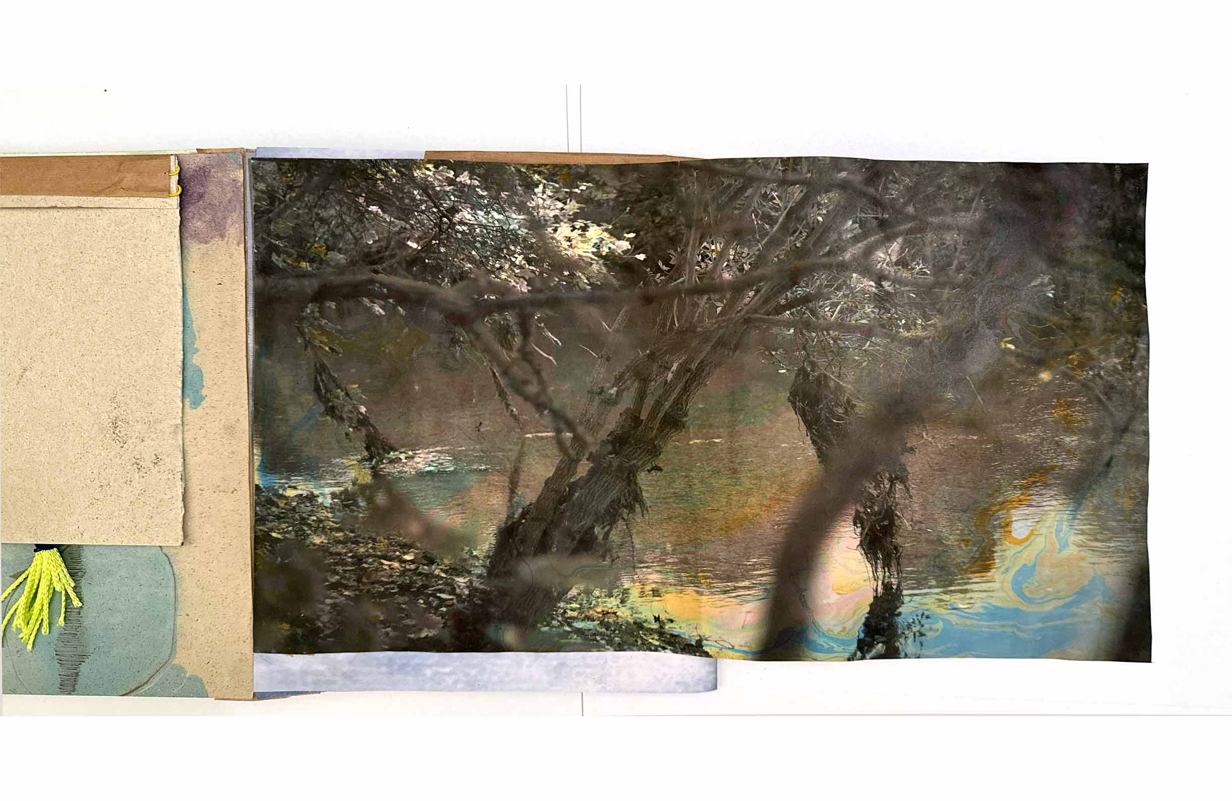 msdm-BOOK-OF-WATER-cody-dock-03