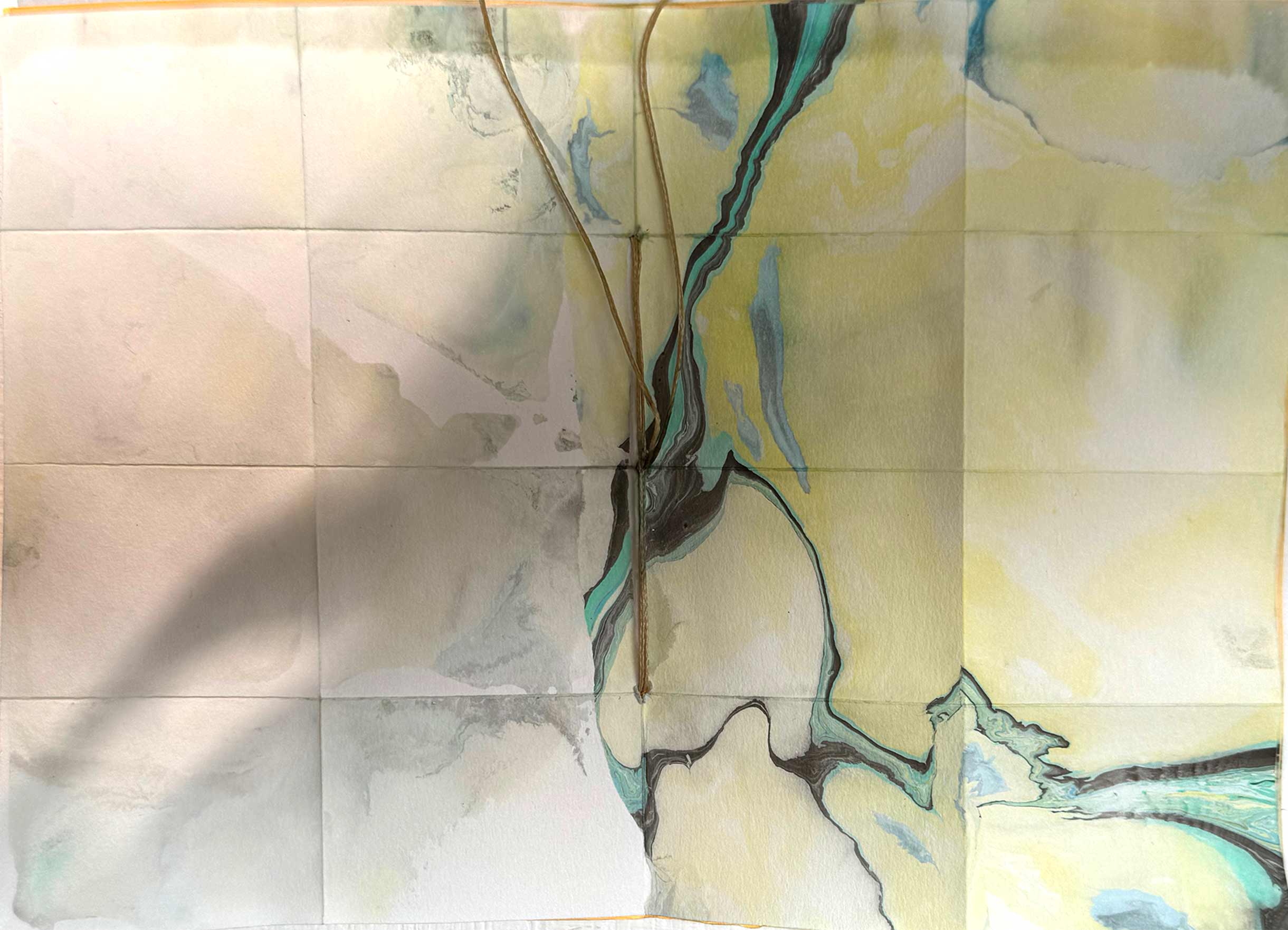 msdm-BOOK-OF-WATER-river-peck-07