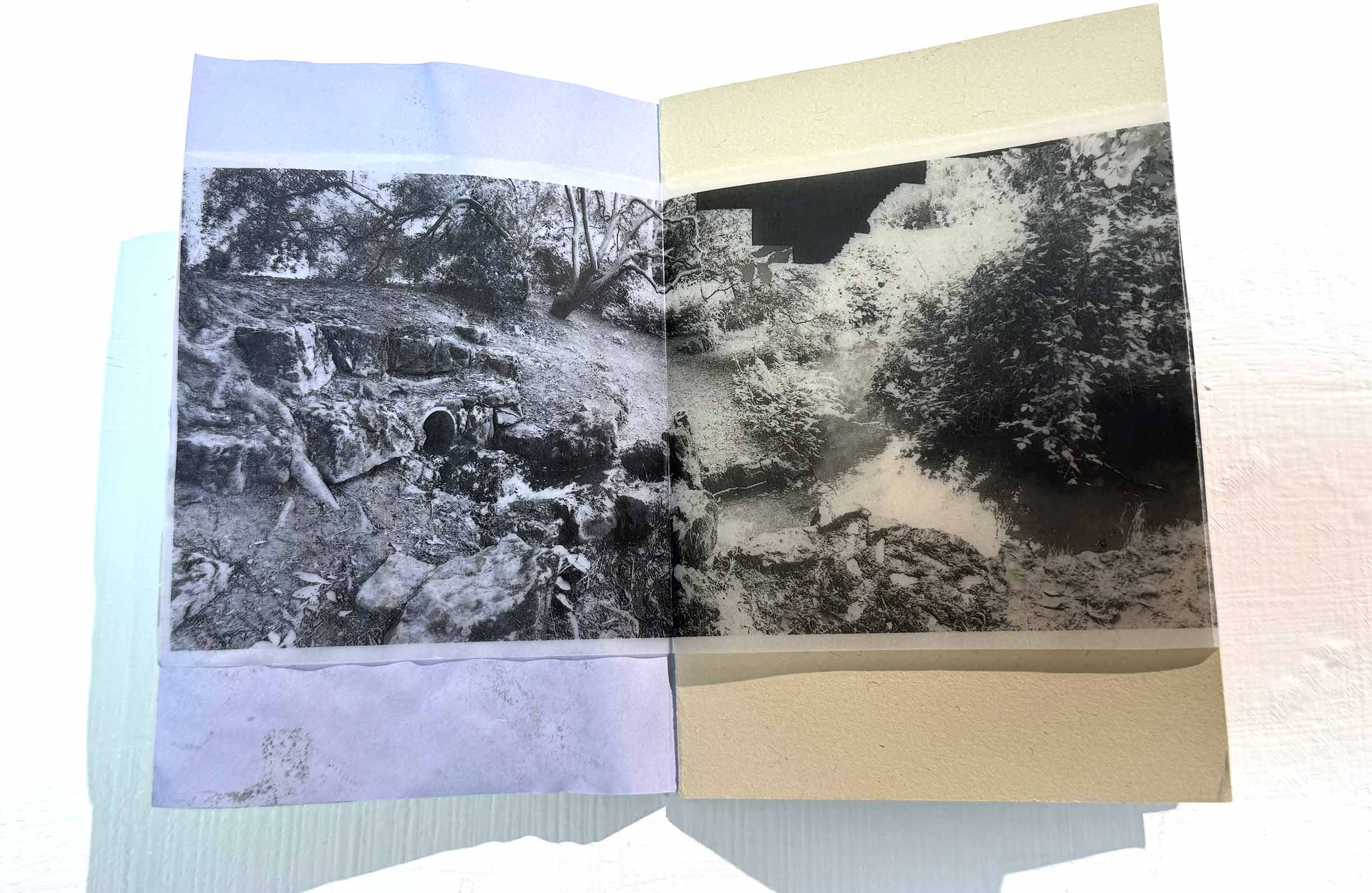 msdm-BOOK-OF-WATER-river-peck-11