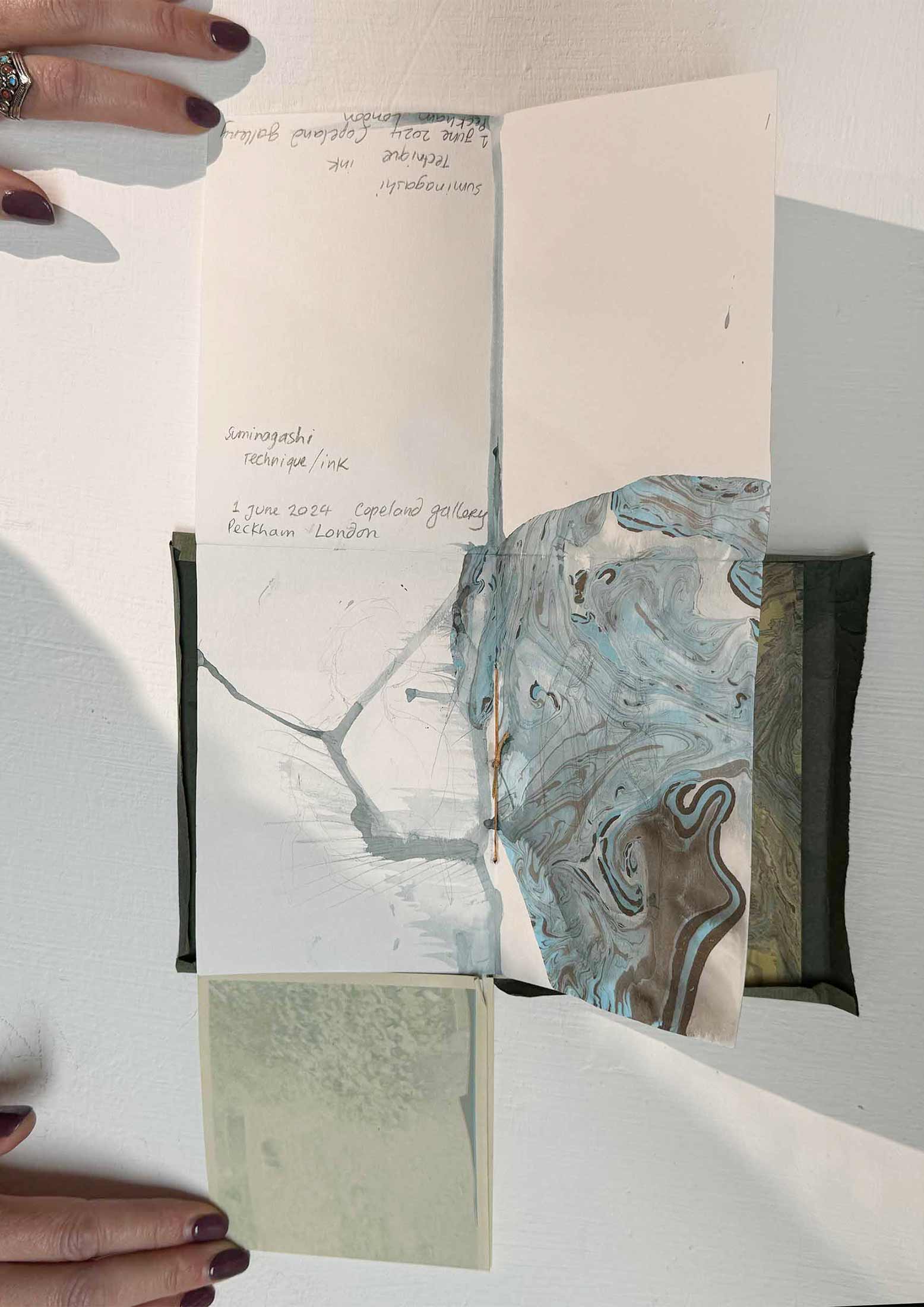 msdm-BOOK-OF-WATER-river-peck-15