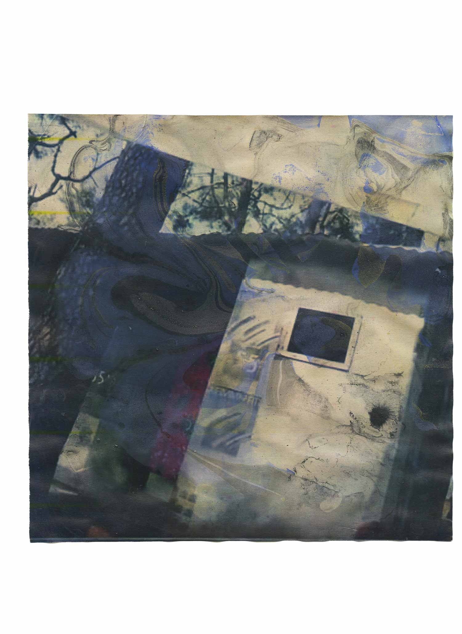 msdm-WATER-PRINTS-paula-roush-06