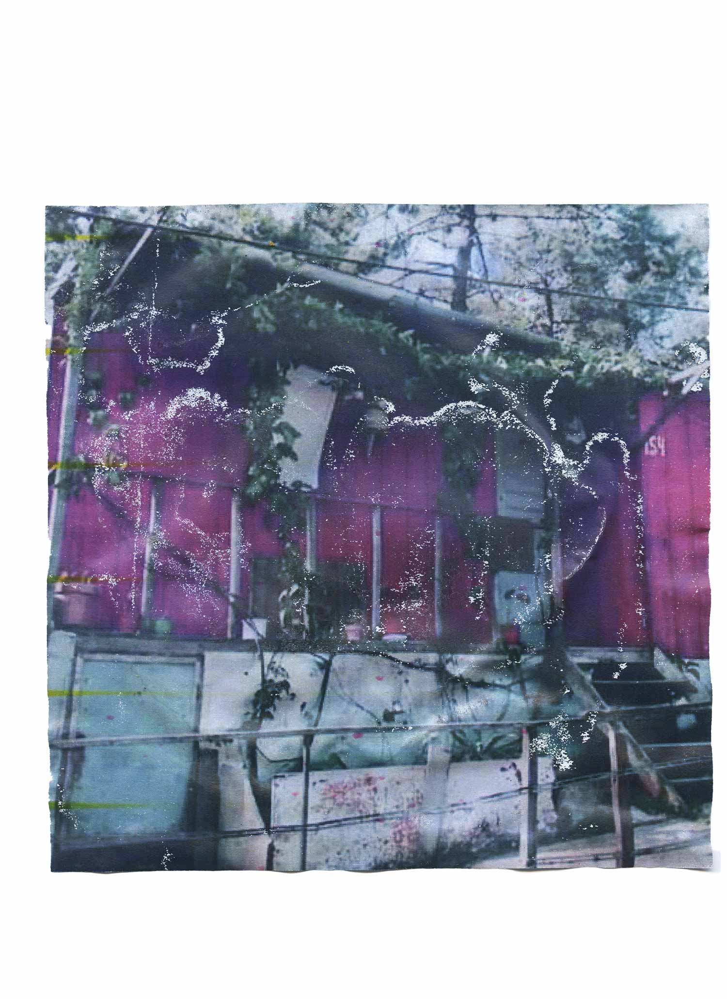 msdm-WATER-PRINTS-paula-roush-07