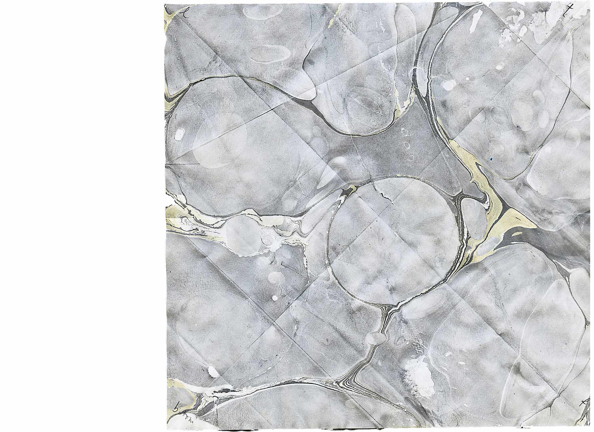 msdm-WATER-PRINTS-paula-roush-19
