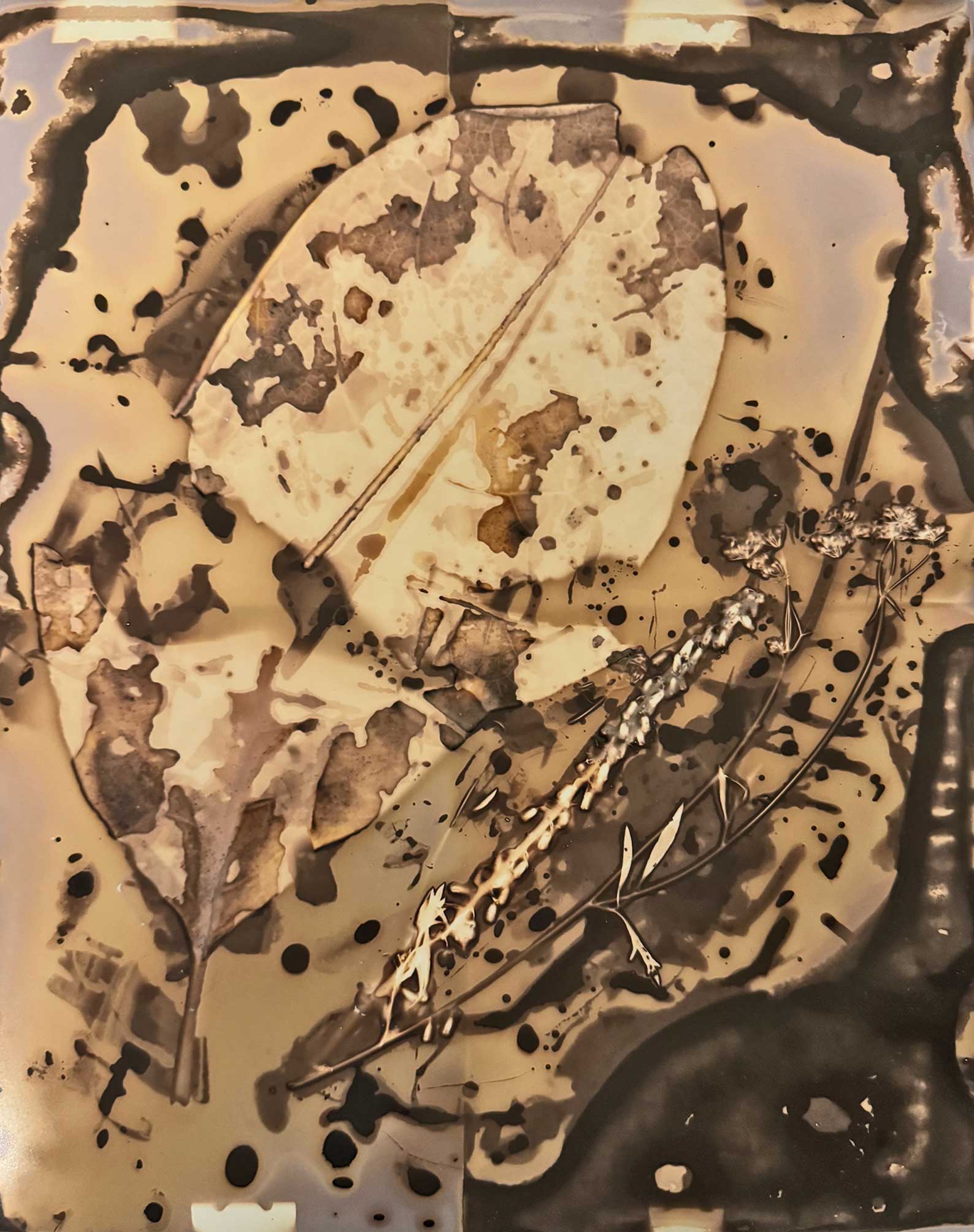 msdm-herbarium-for-the-anthropocene-28