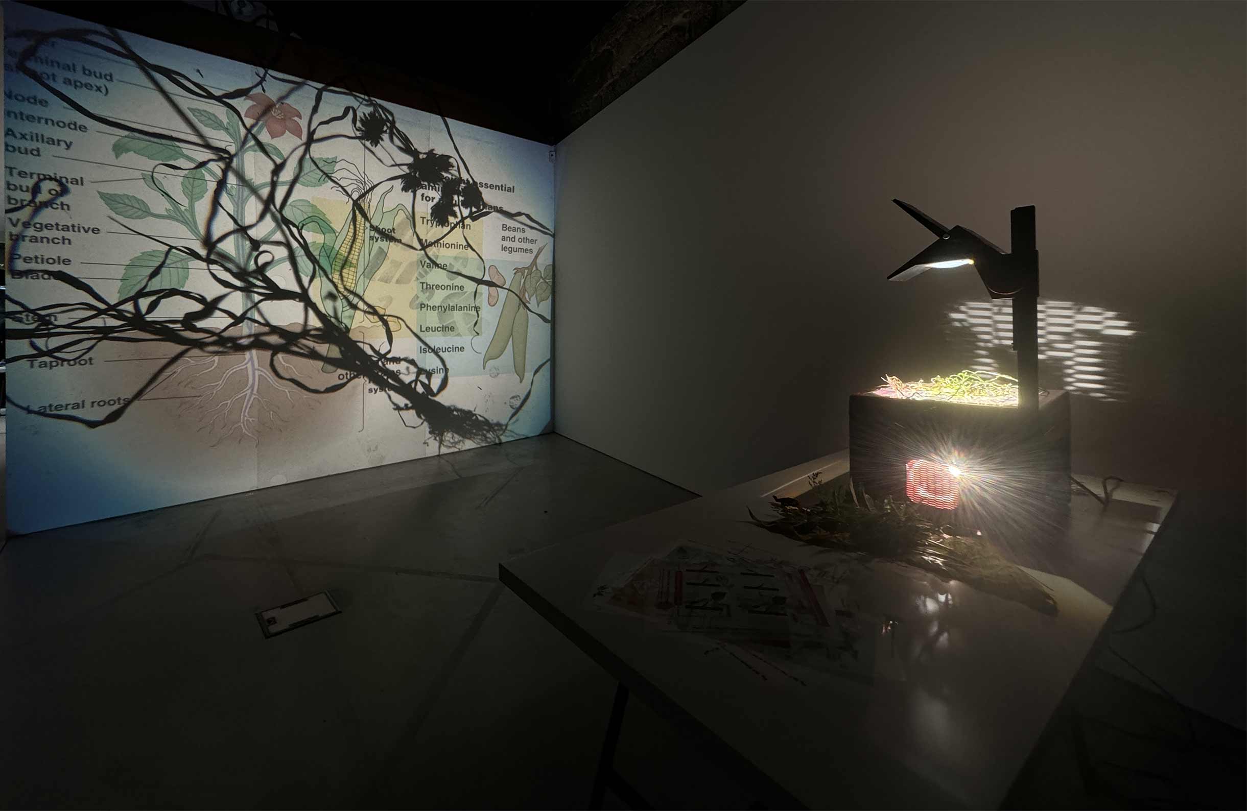 Installation views