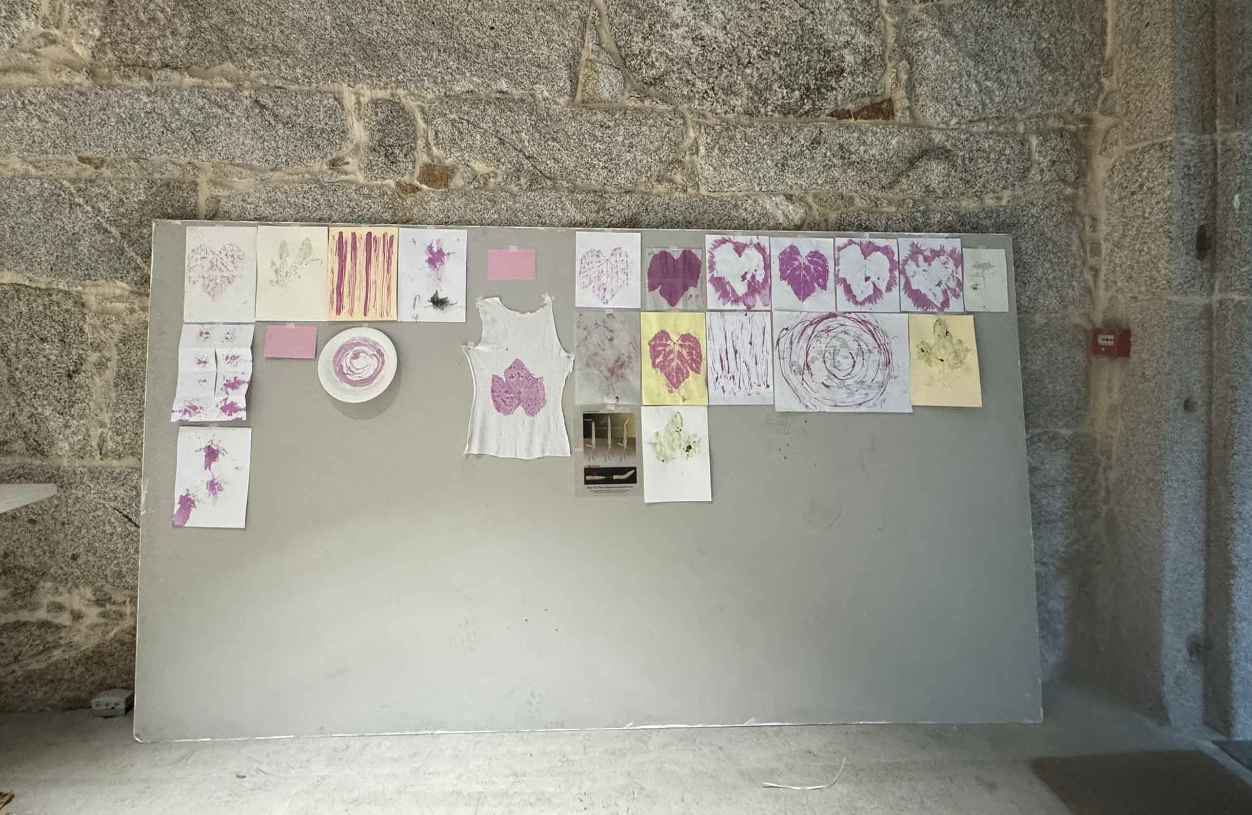 msdm-herbarium-for-the-anthropocene-34