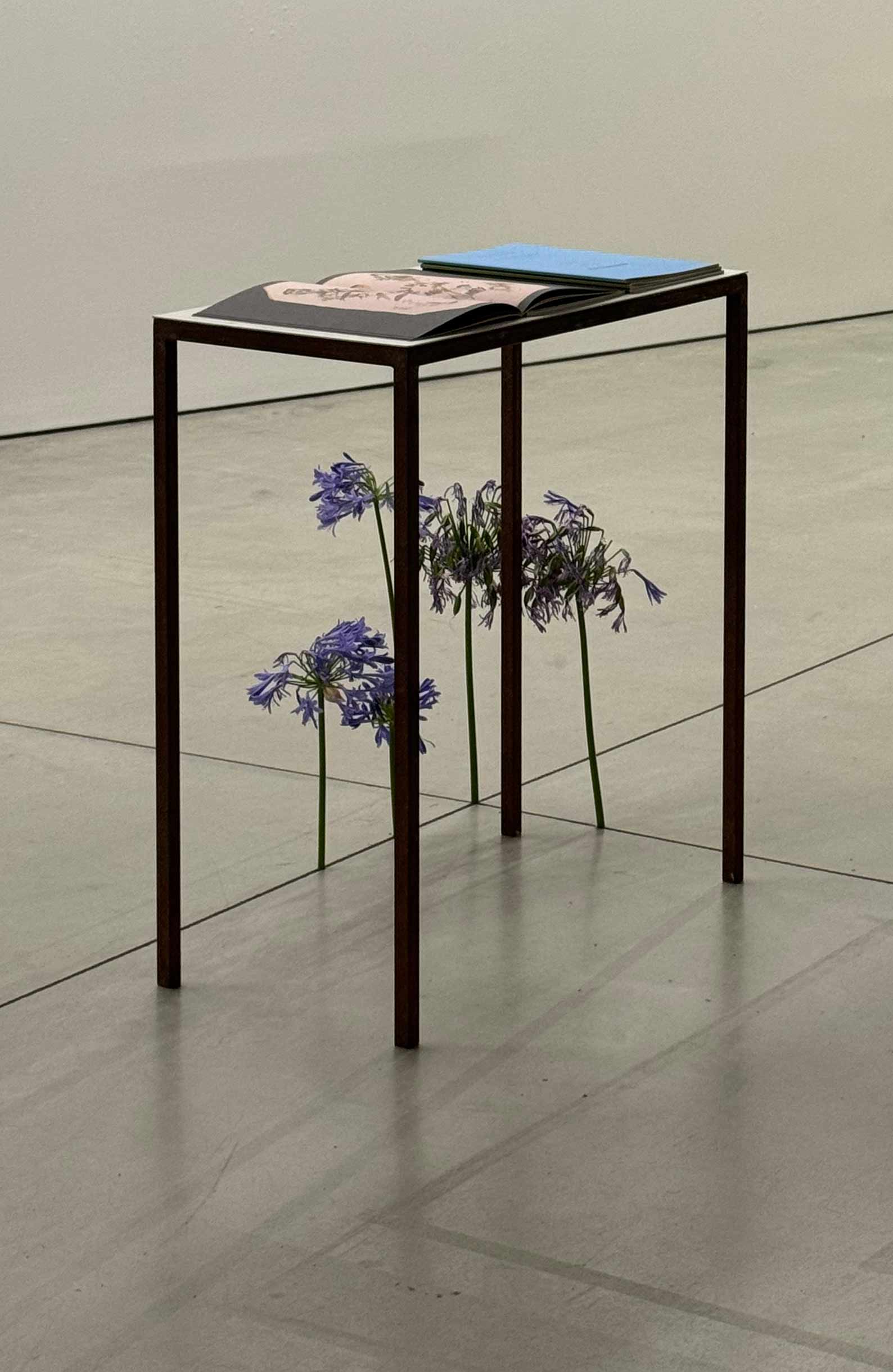 msdm-herbarium-for-the-anthropocene-36
