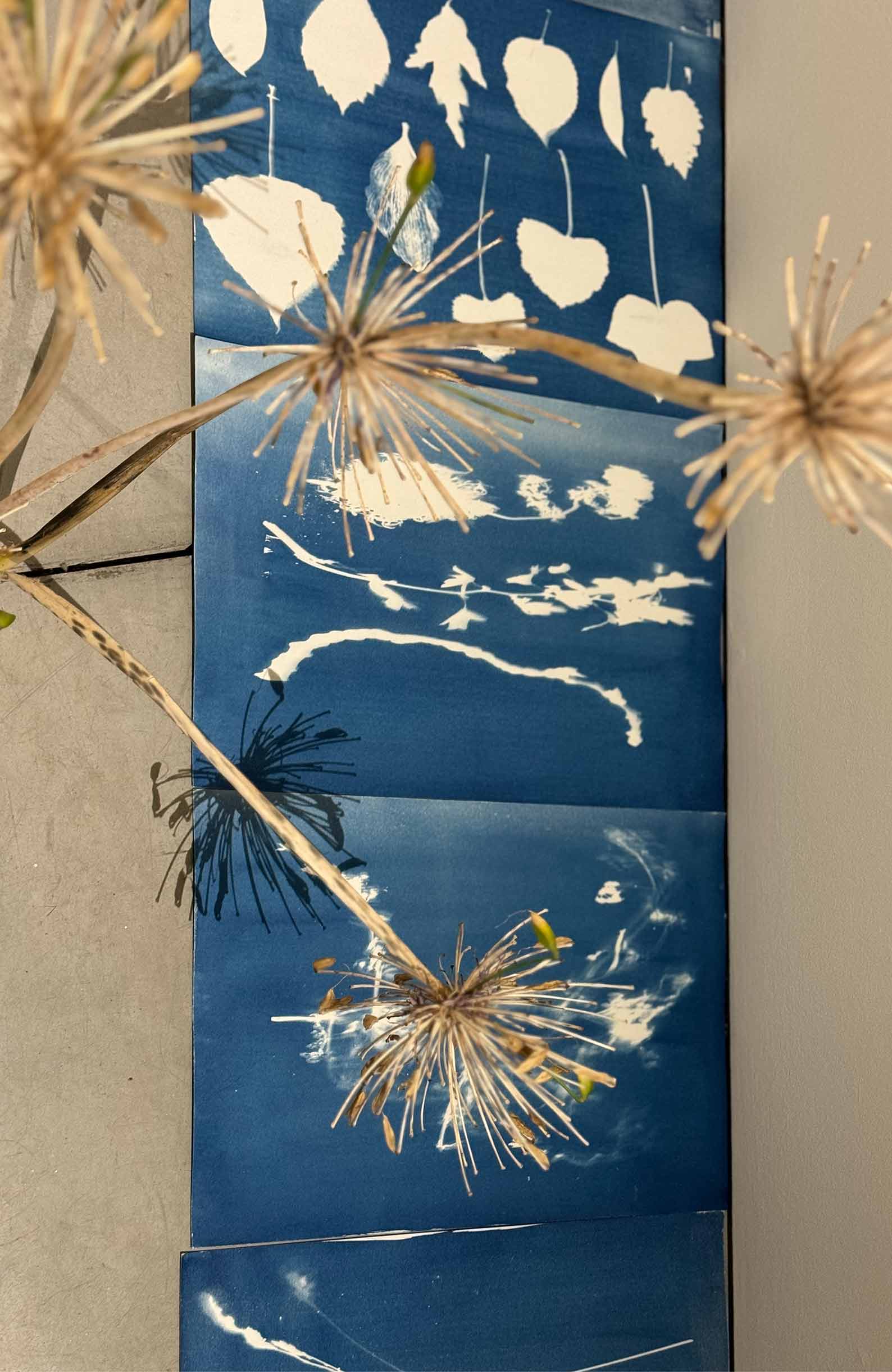 msdm-herbarium-for-the-anthropocene-37