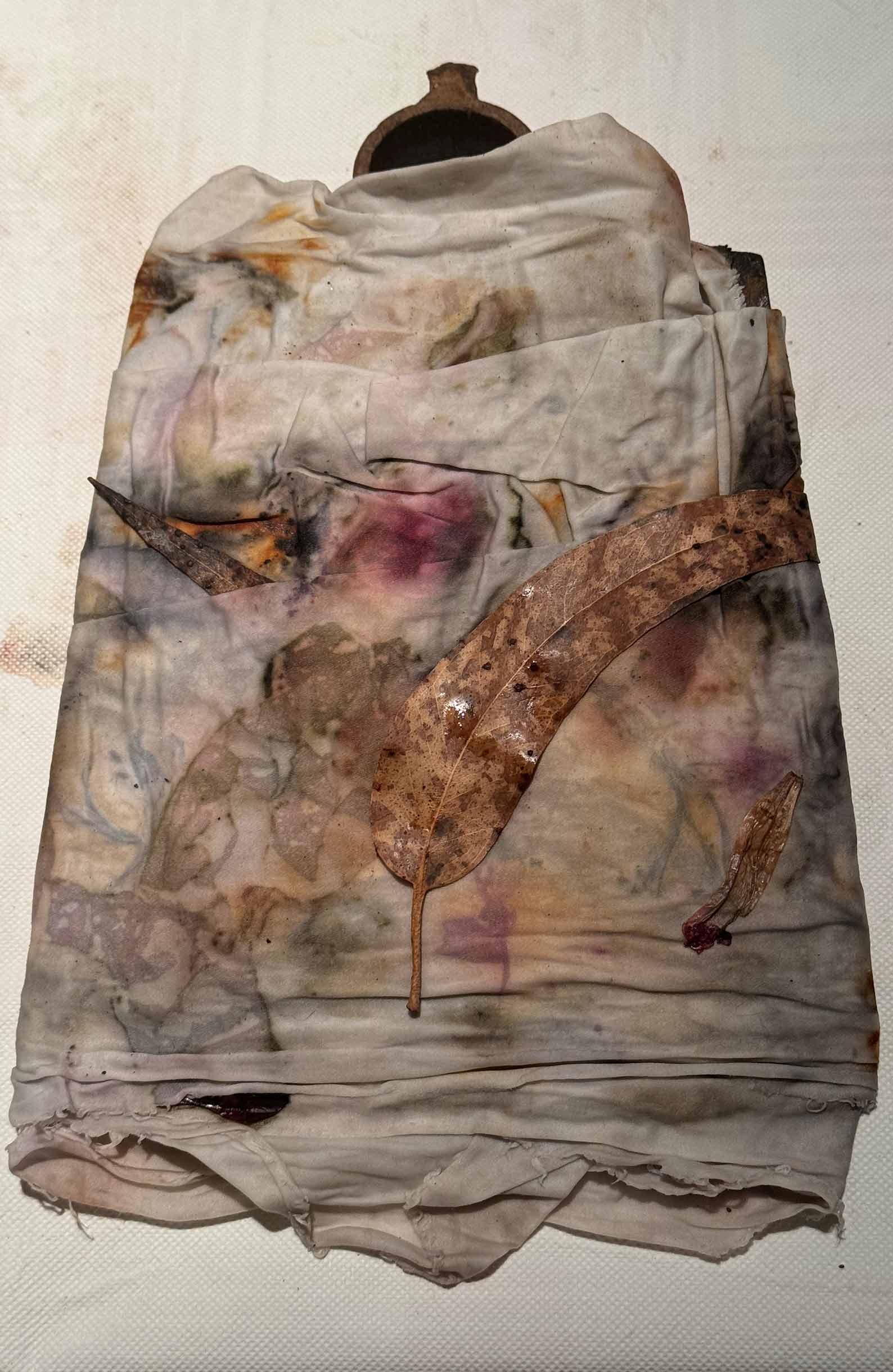 msdm-herbarium-for-the-anthropocene-39