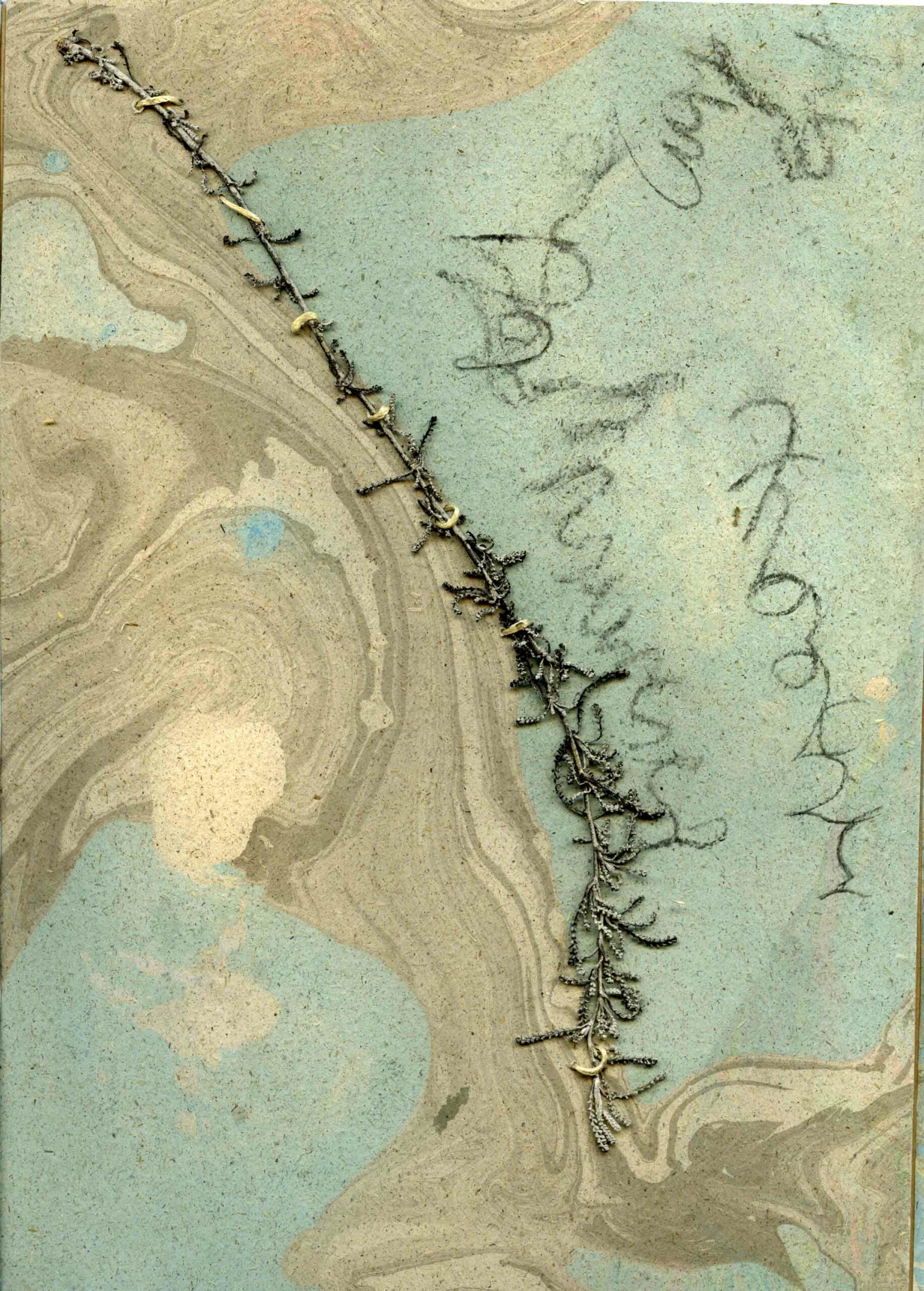 msdm-book-of-water-07