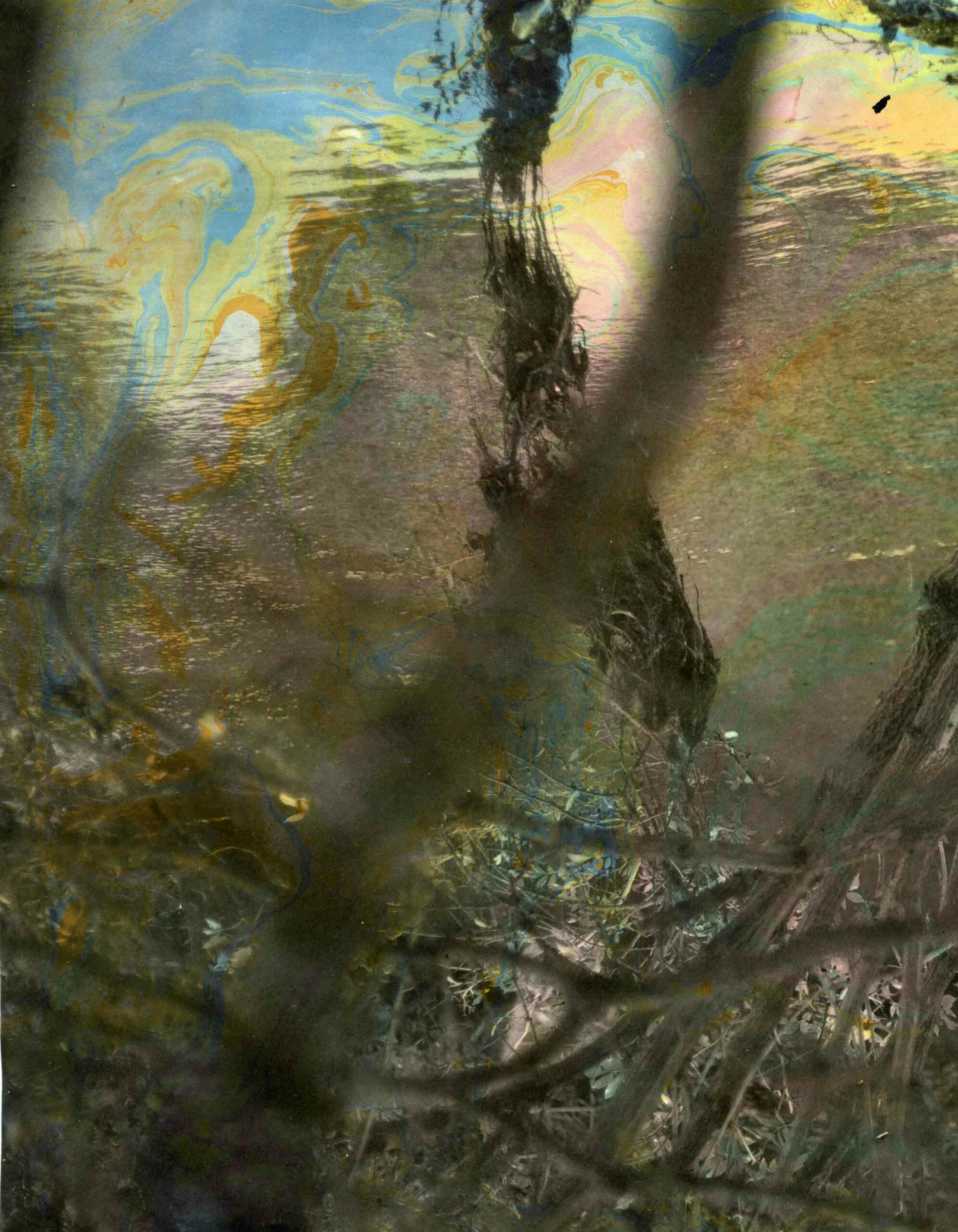 msdm-book-of-water-15