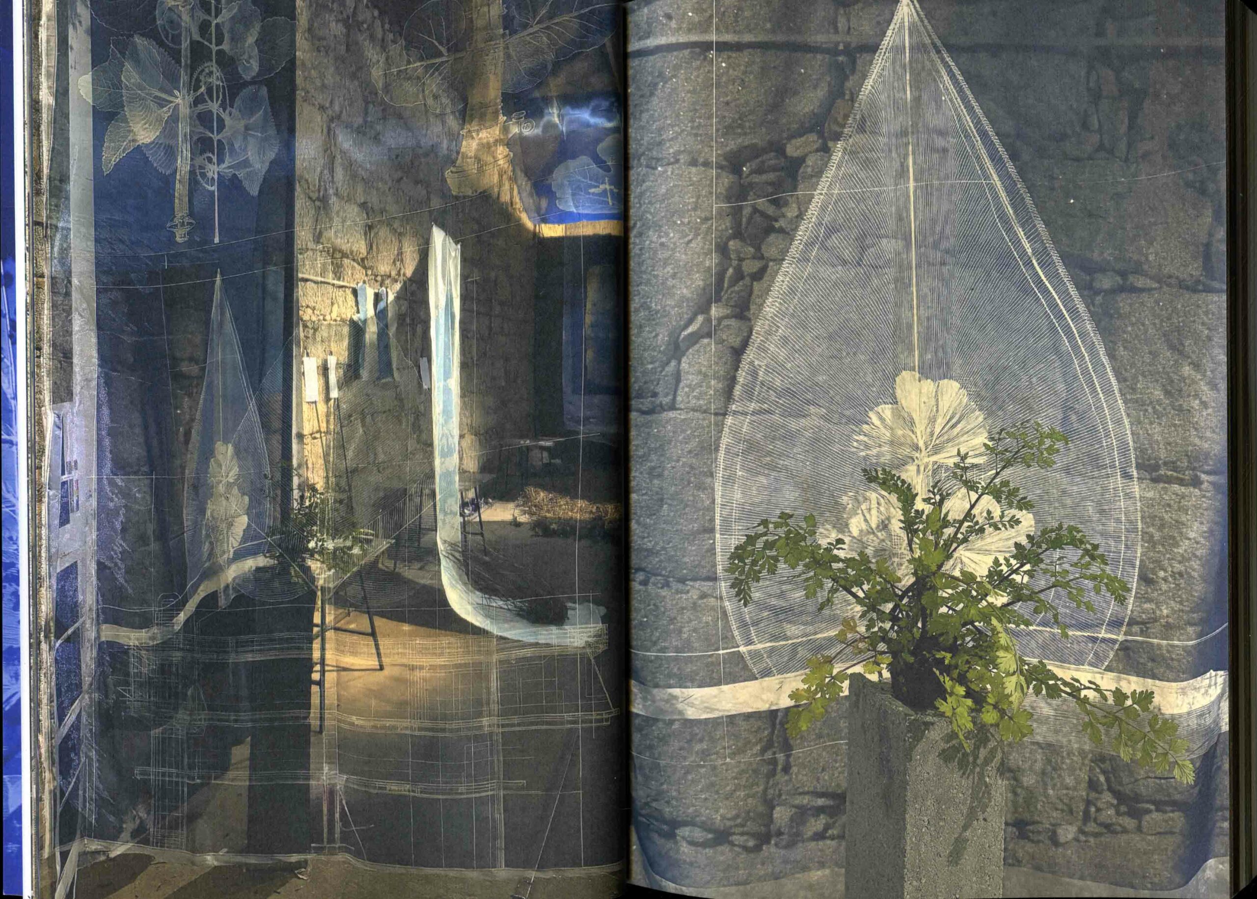 OLHO-HERBARIO-msdm-publications-03