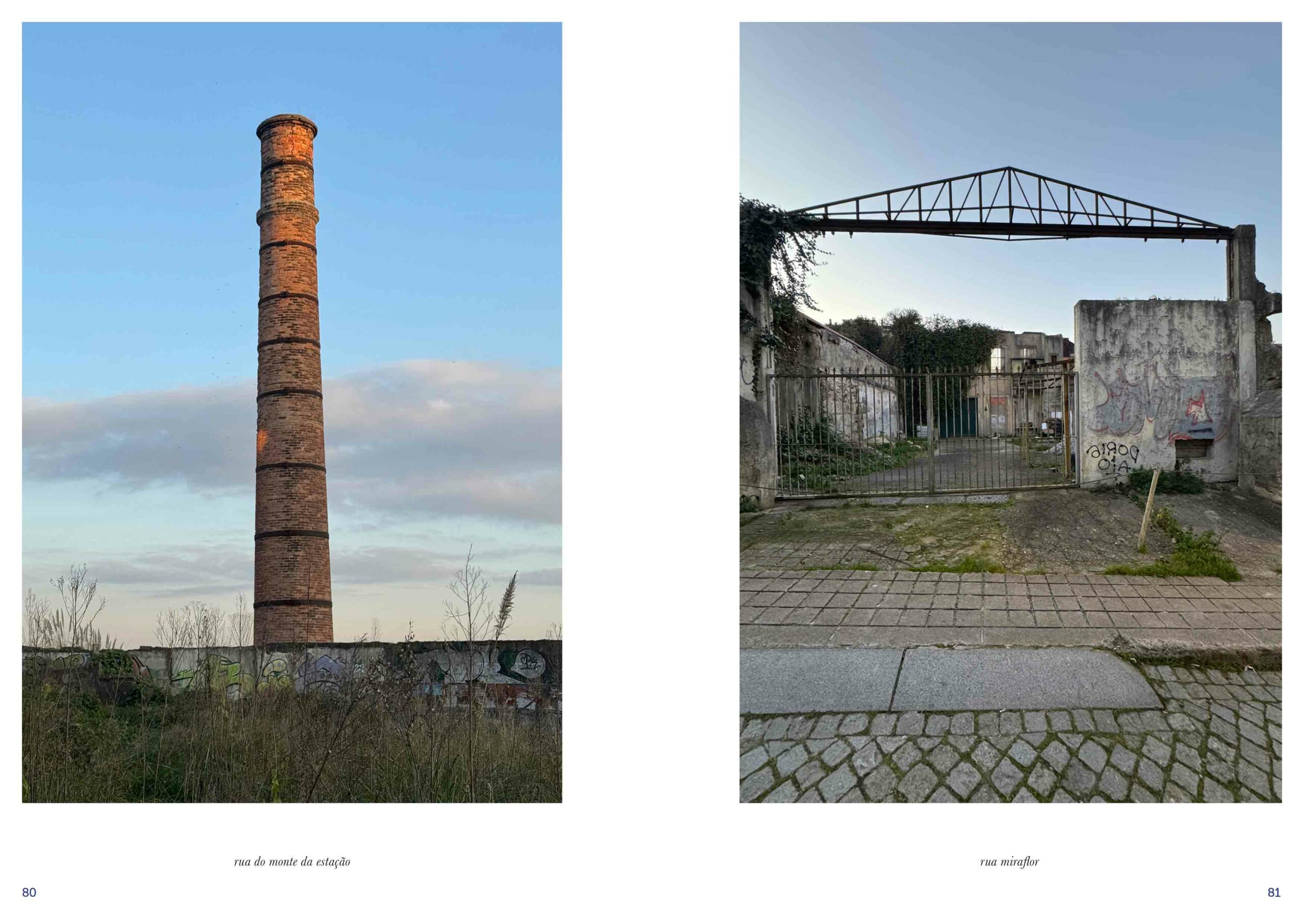 OLHO-HERBARIO-msdm-publications-12