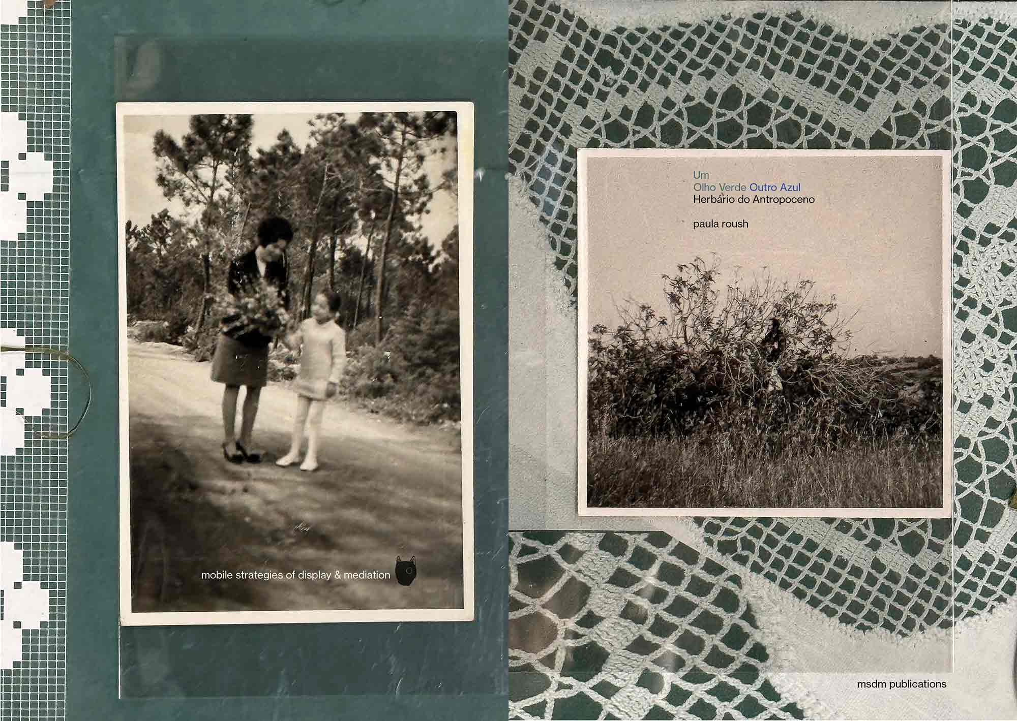 UM OLHO VERDE OUTRO AZUL: HERBÁRIO DO ANTROPOCENO