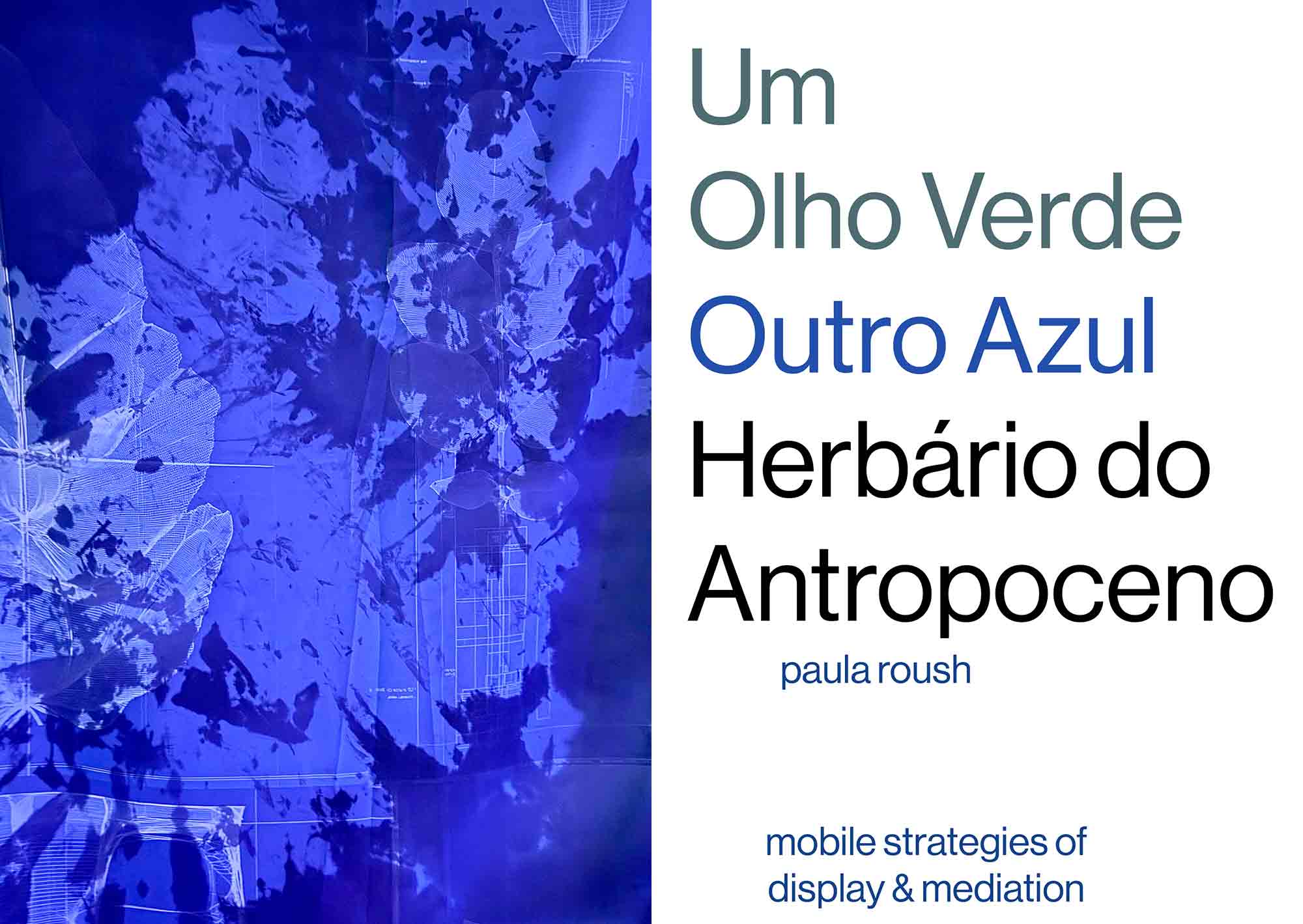 OLHO-spread-2-3-msdm-publications