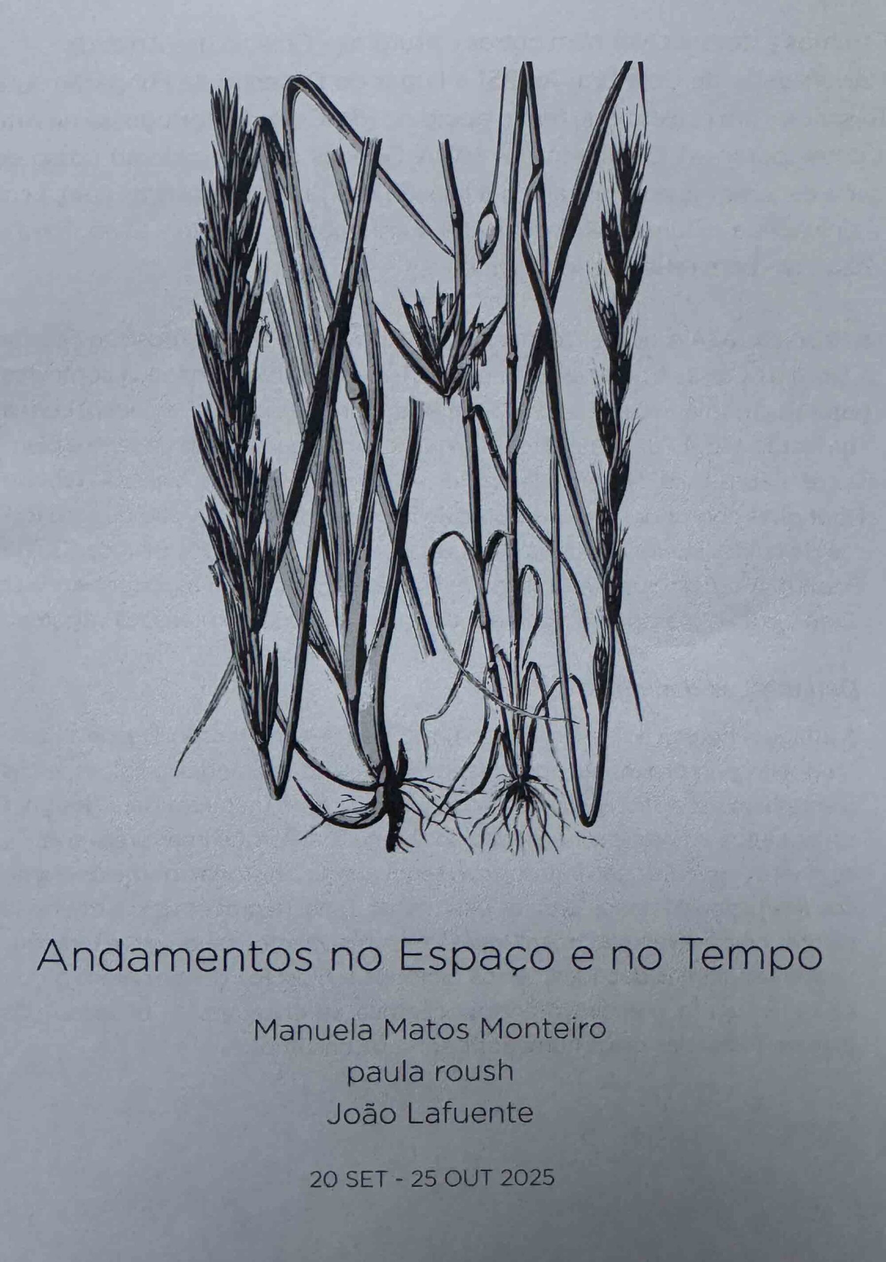 msdm-andancas-no-espaco-e-no-tempo-01