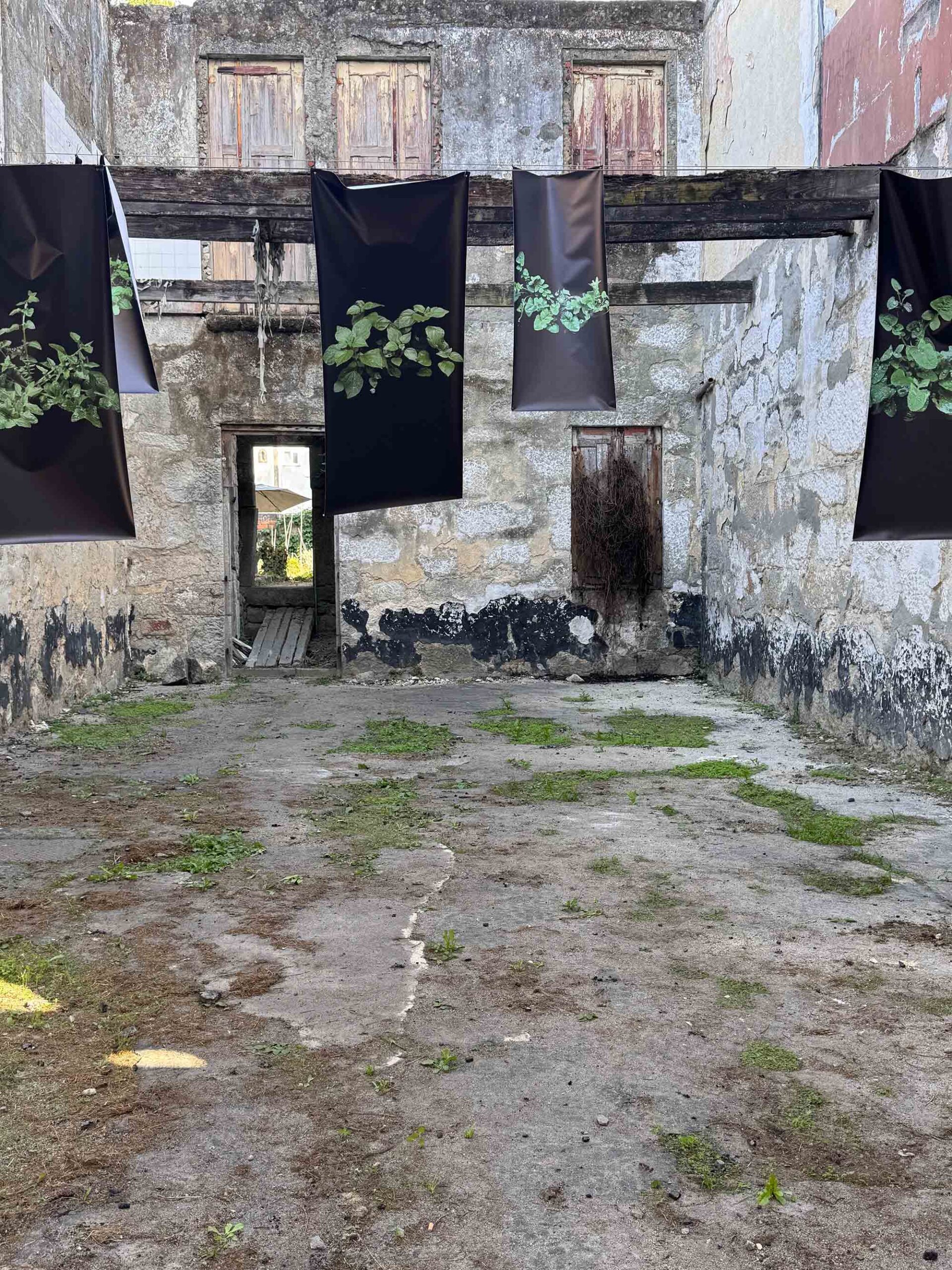 msdm-andancas-no-espaco-e-no-tempo-08