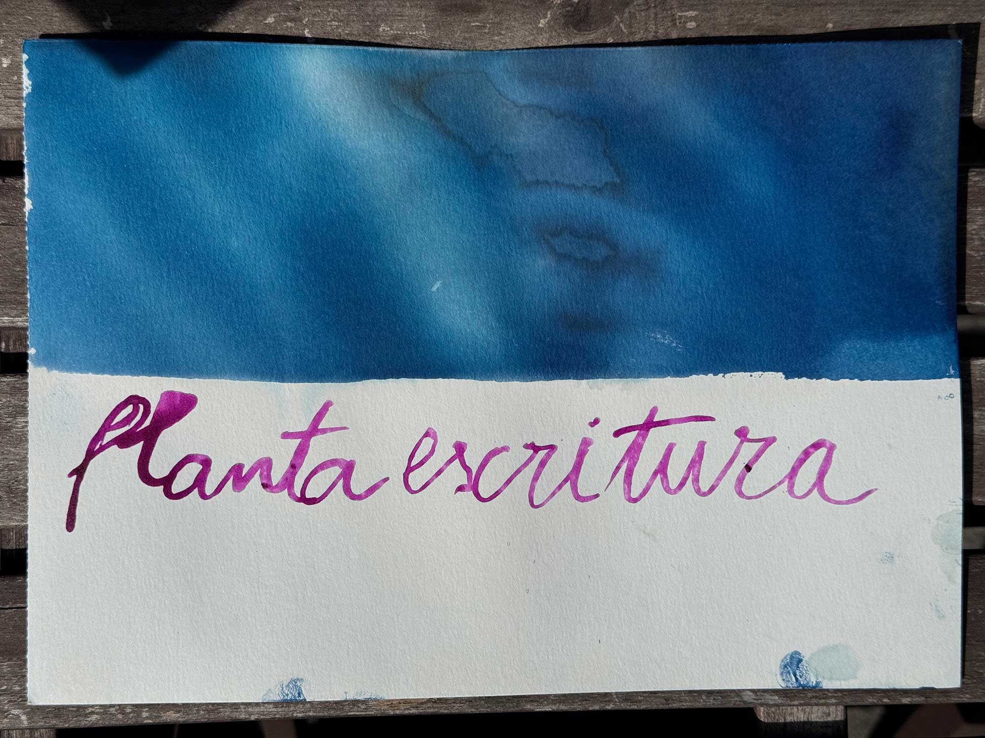 herbario-metabolico-msdm-paula-roush-01