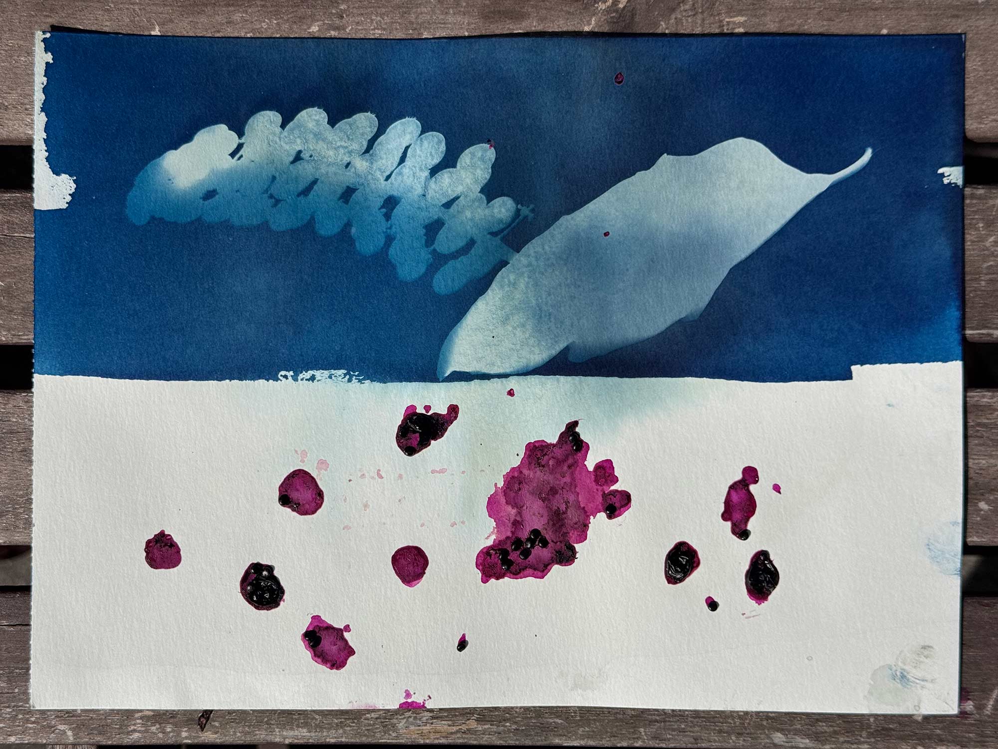 herbario-metabolico-msdm-paula-roush-02