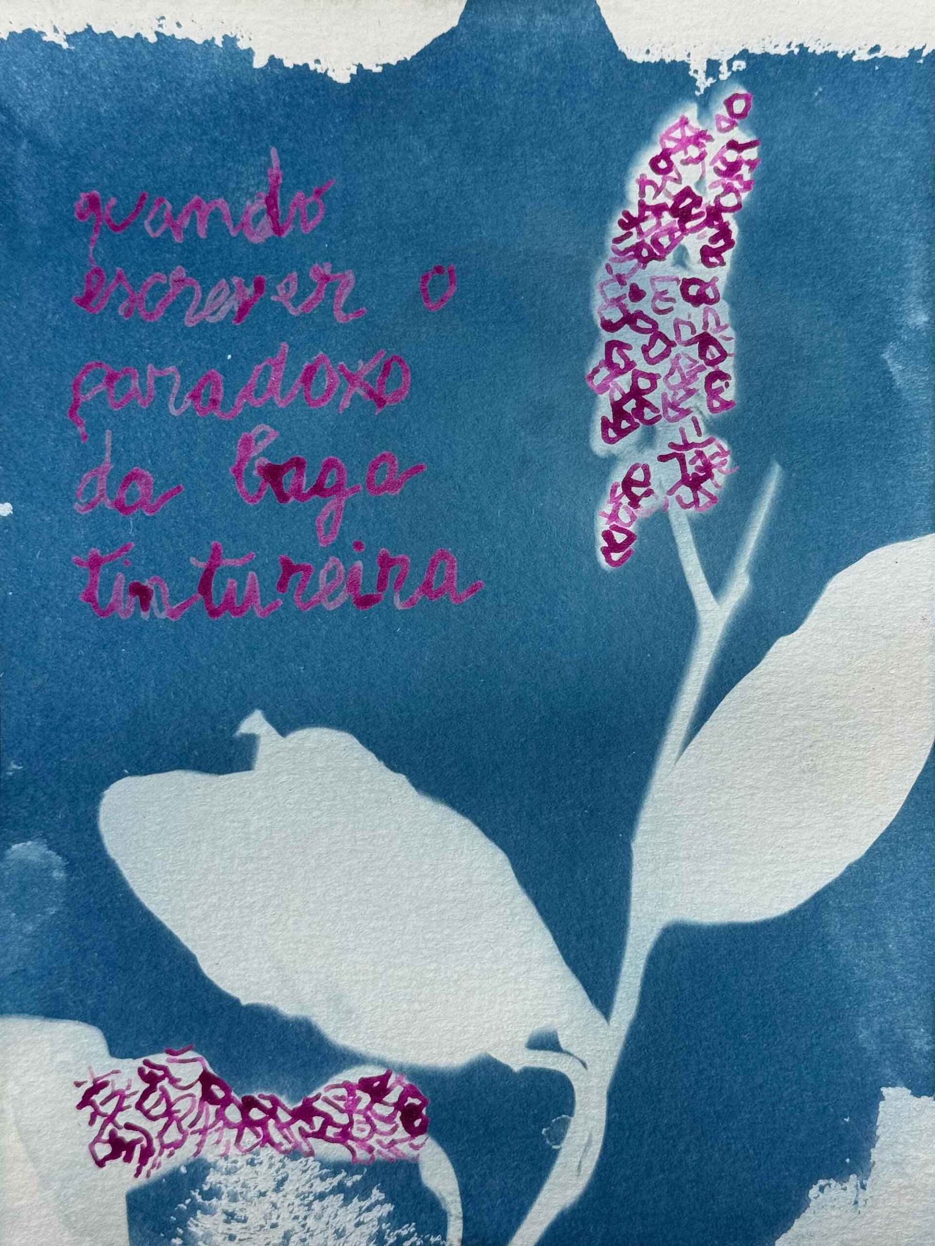 herbario-metabolico-msdm-paula-roush-03