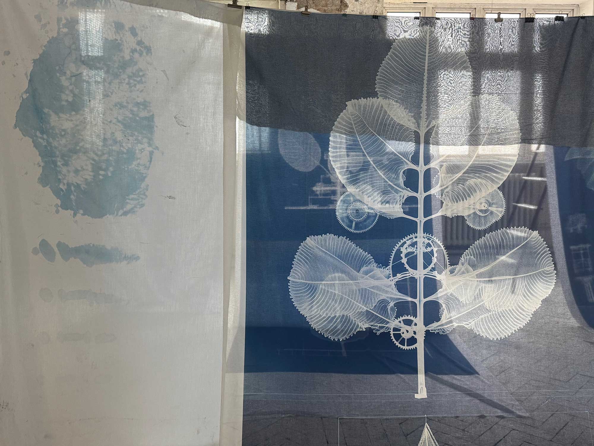 msdm-OLHO-VERDE-HERBARIO-ANTROPOCENO-hybrid-printing-04