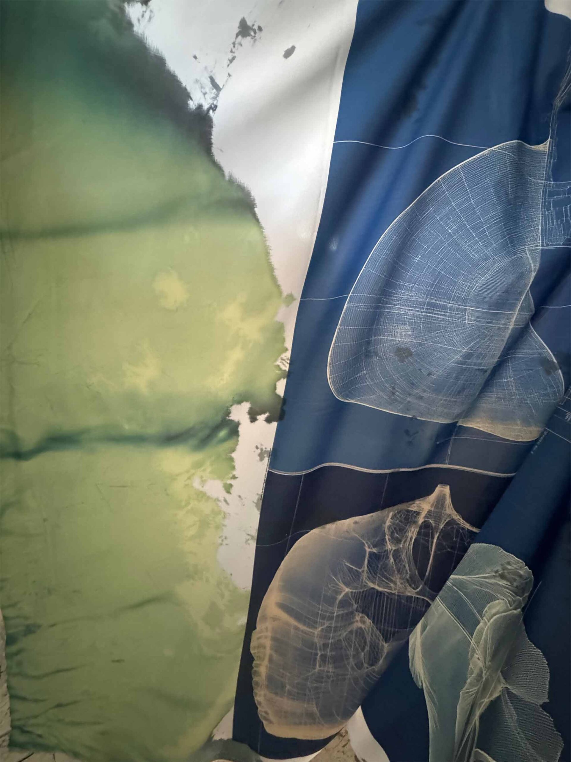 msdm-OLHO-VERDE-HERBARIO-ANTROPOCENO-hybrid-printing-08