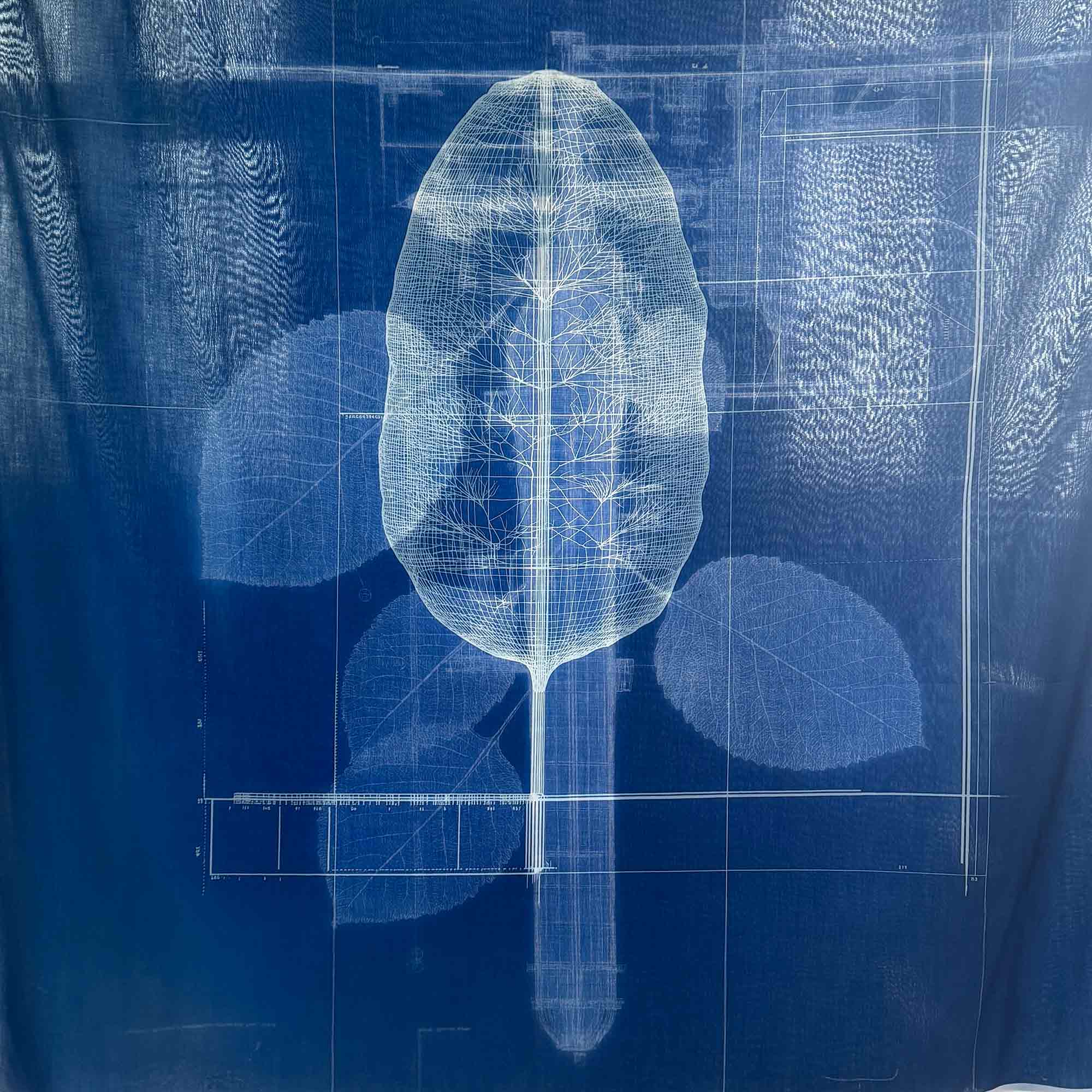 msdm-OLHO-VERDE-HERBARIO-ANTROPOCENO-hybrid-printing-09