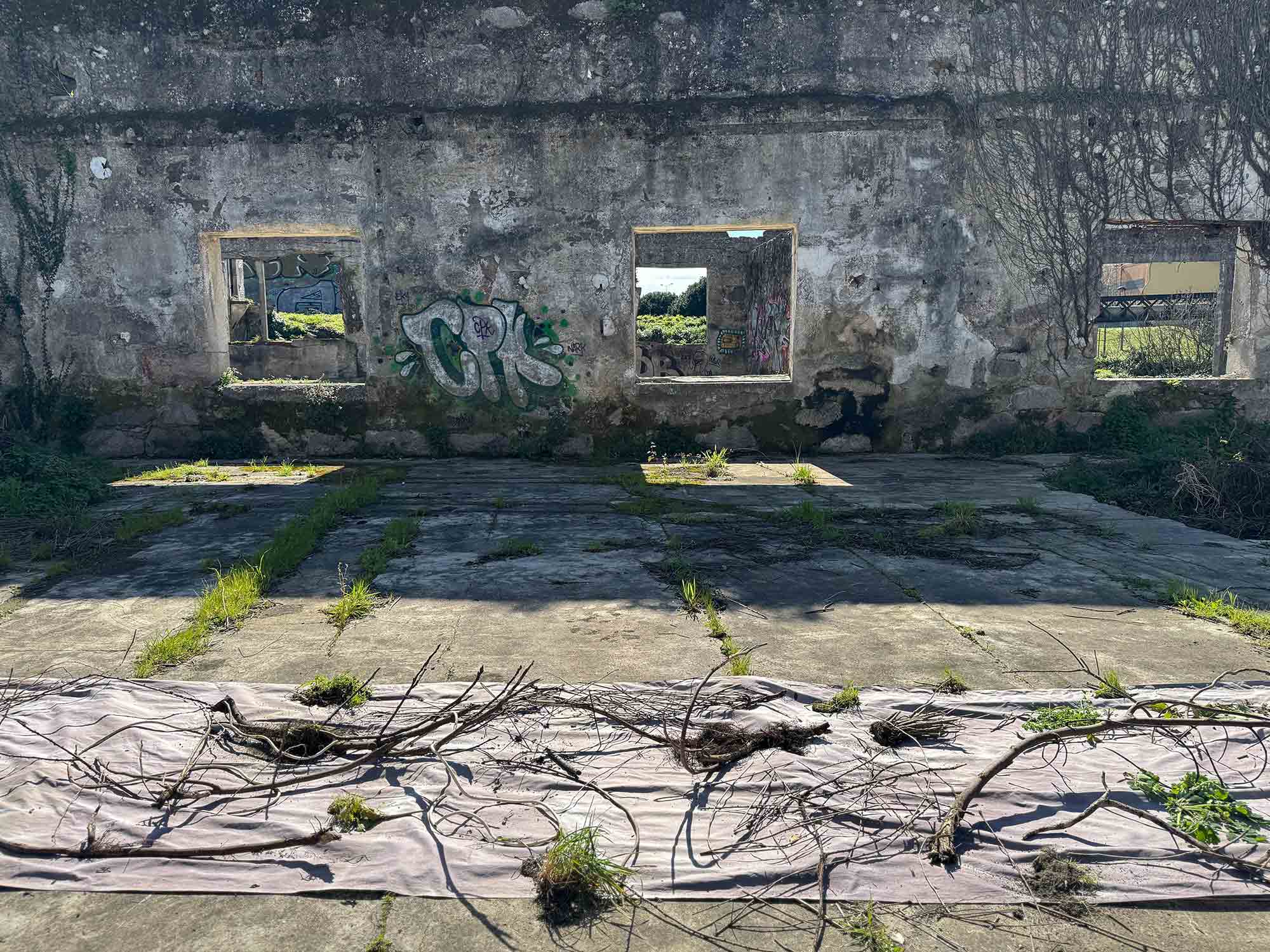 msdm-OLHO-VERDE-HERBARIO-ANTROPOCENO-solar-printing-04