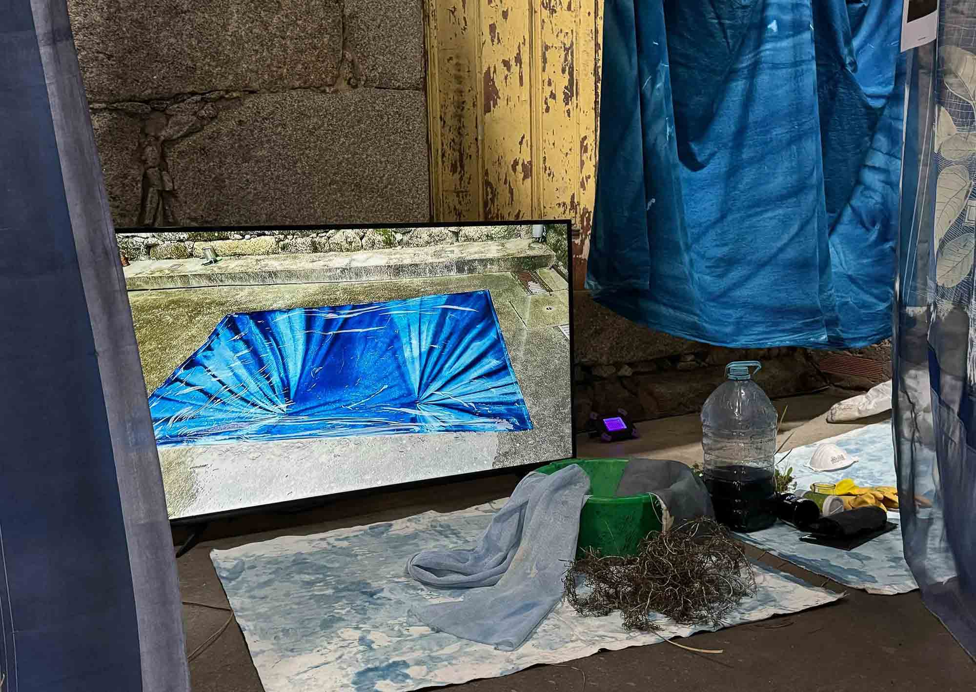 msdm-OLHO-VERDE-HERBARIO-ANTROPOCENO-solar-printing-07