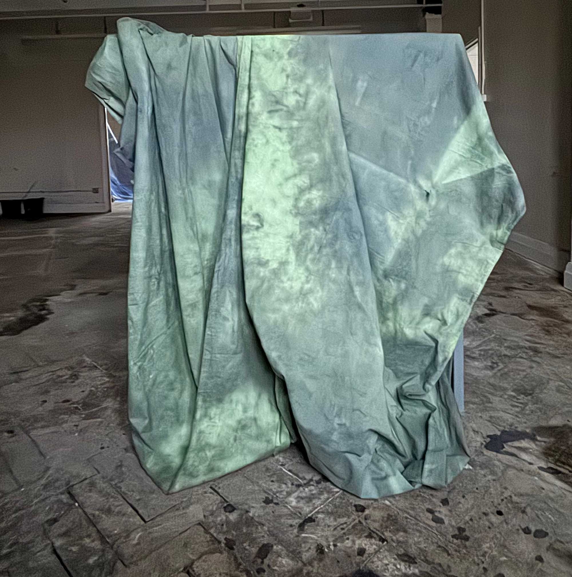 msdm-OLHO-VERDE-HERBARIO-ANTROPOCENO-solar-printing-08