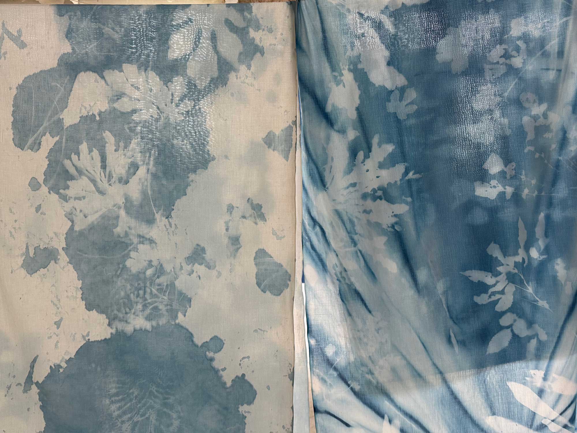 msdm-OLHO-VERDE-HERBARIO-ANTROPOCENO-solar-printing-09