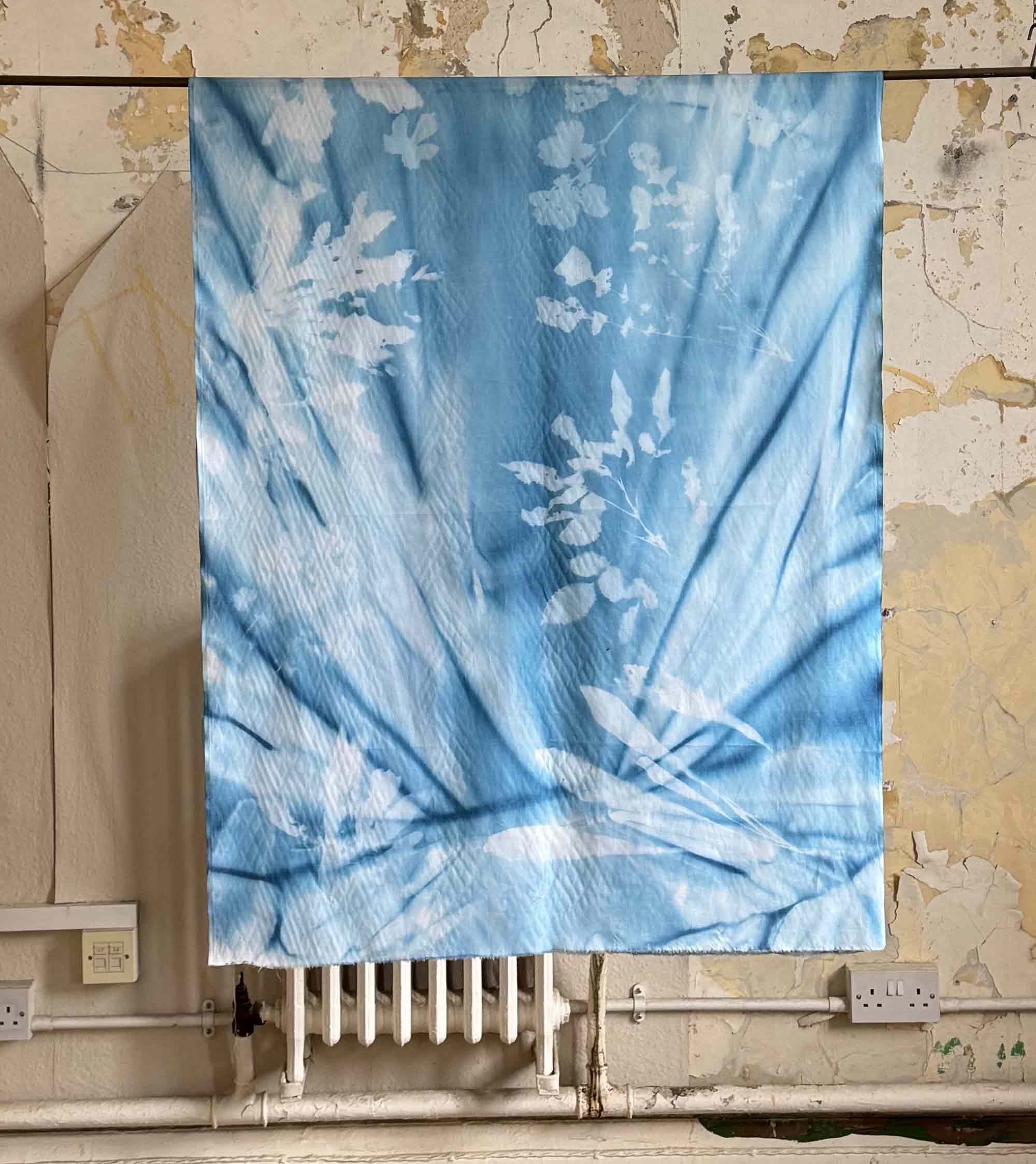 msdm-OLHO-VERDE-HERBARIO-ANTROPOCENO-solar-printing-10