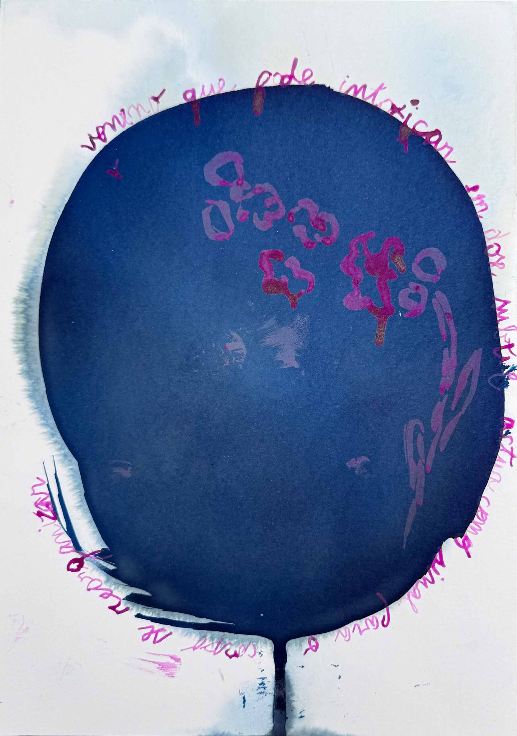 msdm-herbario-metabolico-phytolacca-04