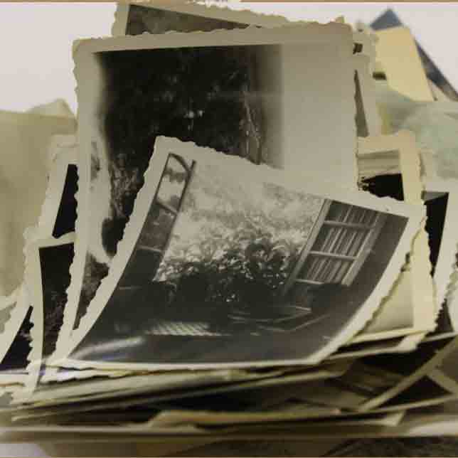 Entangled: humans & plants in presence (exercises of attention with found photographs)  Anozero / Convergentes (Coimbra) 30 May 2026