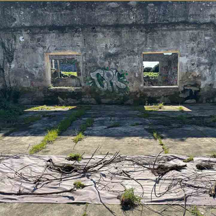 Solar Cyanotypes in Post-Industrial Ecologies (T15. Workshop) Experimental Photo Festival 2026  22 July 2026