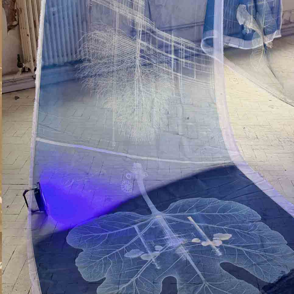 Hybrid Herbarium: Cyanotype & AI Cartographies (T54. Workshop) Experimental Photo Festival 2026  25 July 2026
