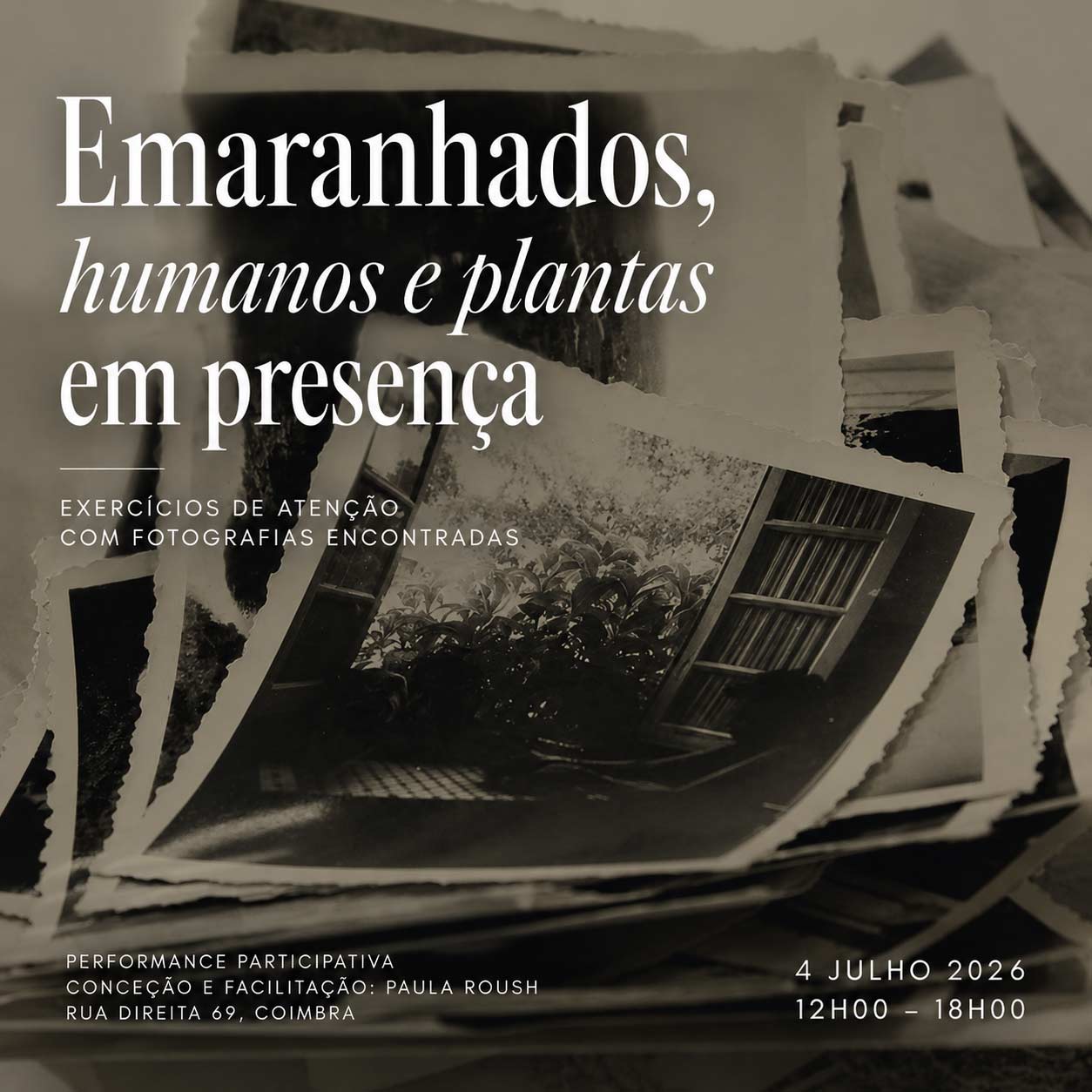 NOVA DATA 04 JUL 2026 12h00–18h00 Local: Rua Direita 69, Coimbra – Entangled: Humans & Plants in Presence (Exercises of attention with found photographs)  Anozero / Convergentes (Coimbra)
